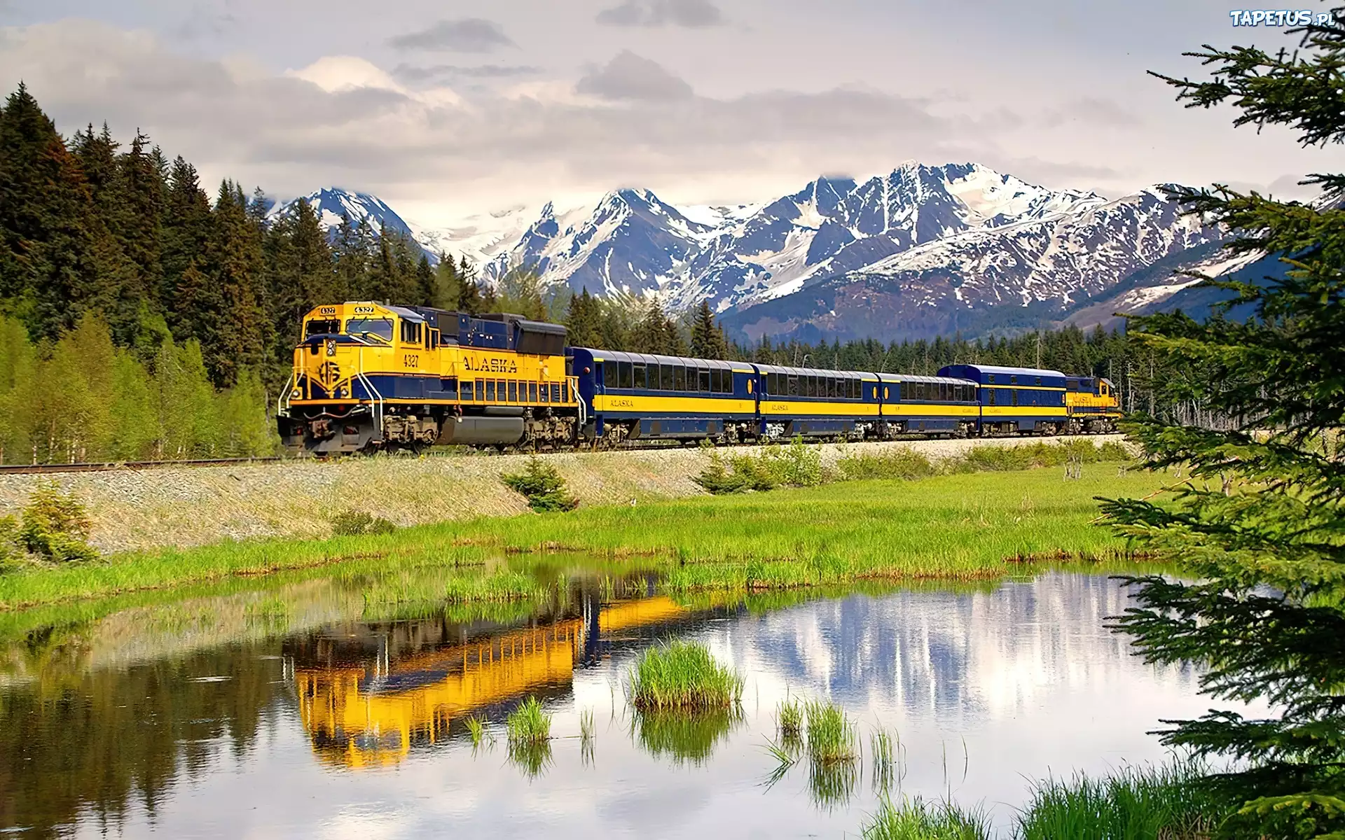 Pociąg, Lasy, Góry, Alaska
