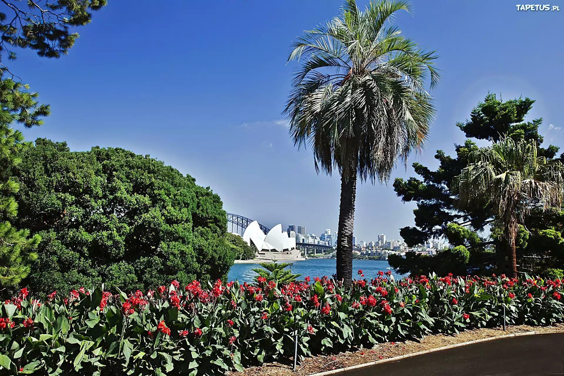 Park, Panorama, Sydney