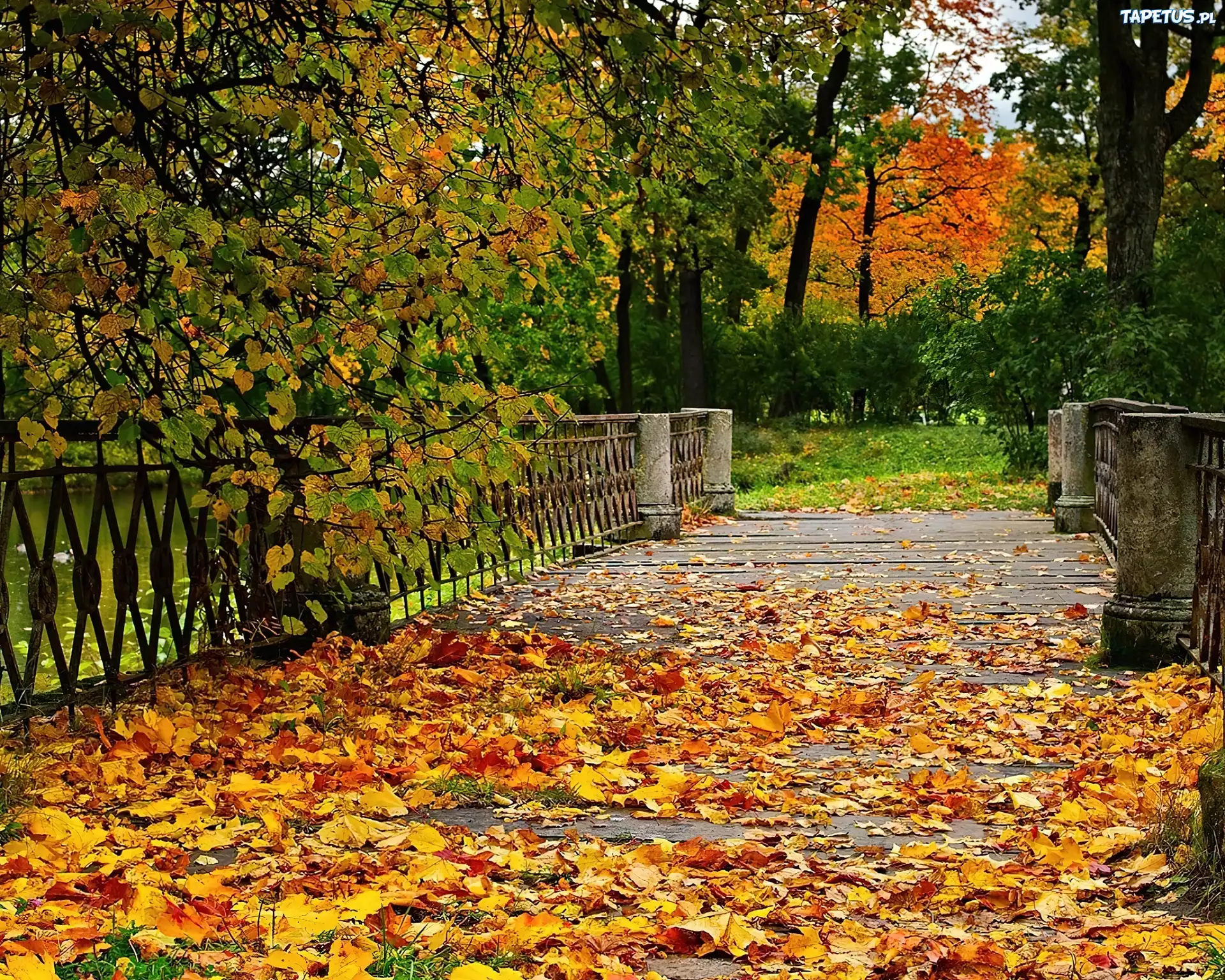 Park, Liście, Jesień, Mostek