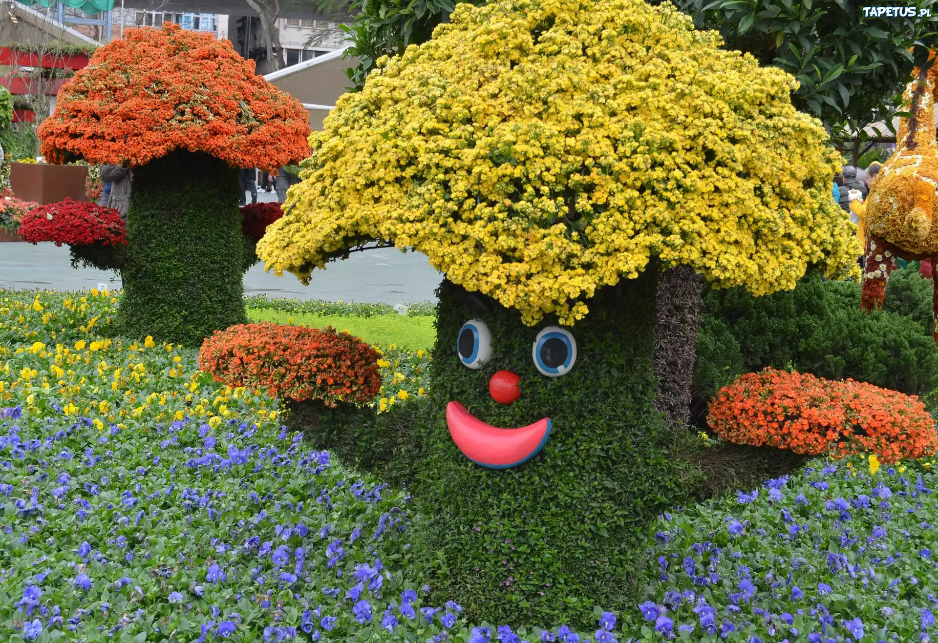 Park, Klomby, Kwiaty