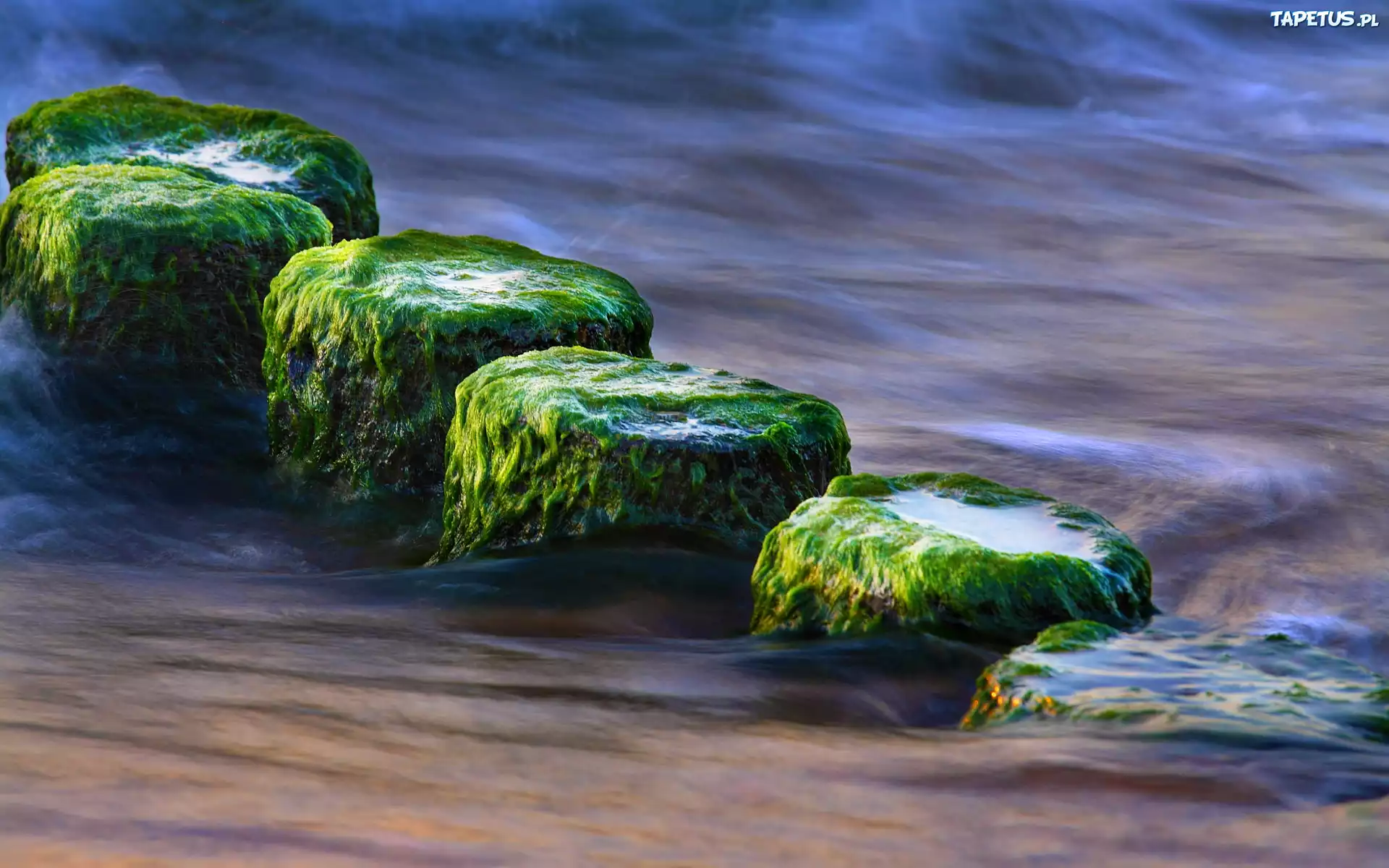Зеленая вода между камней бесплатно