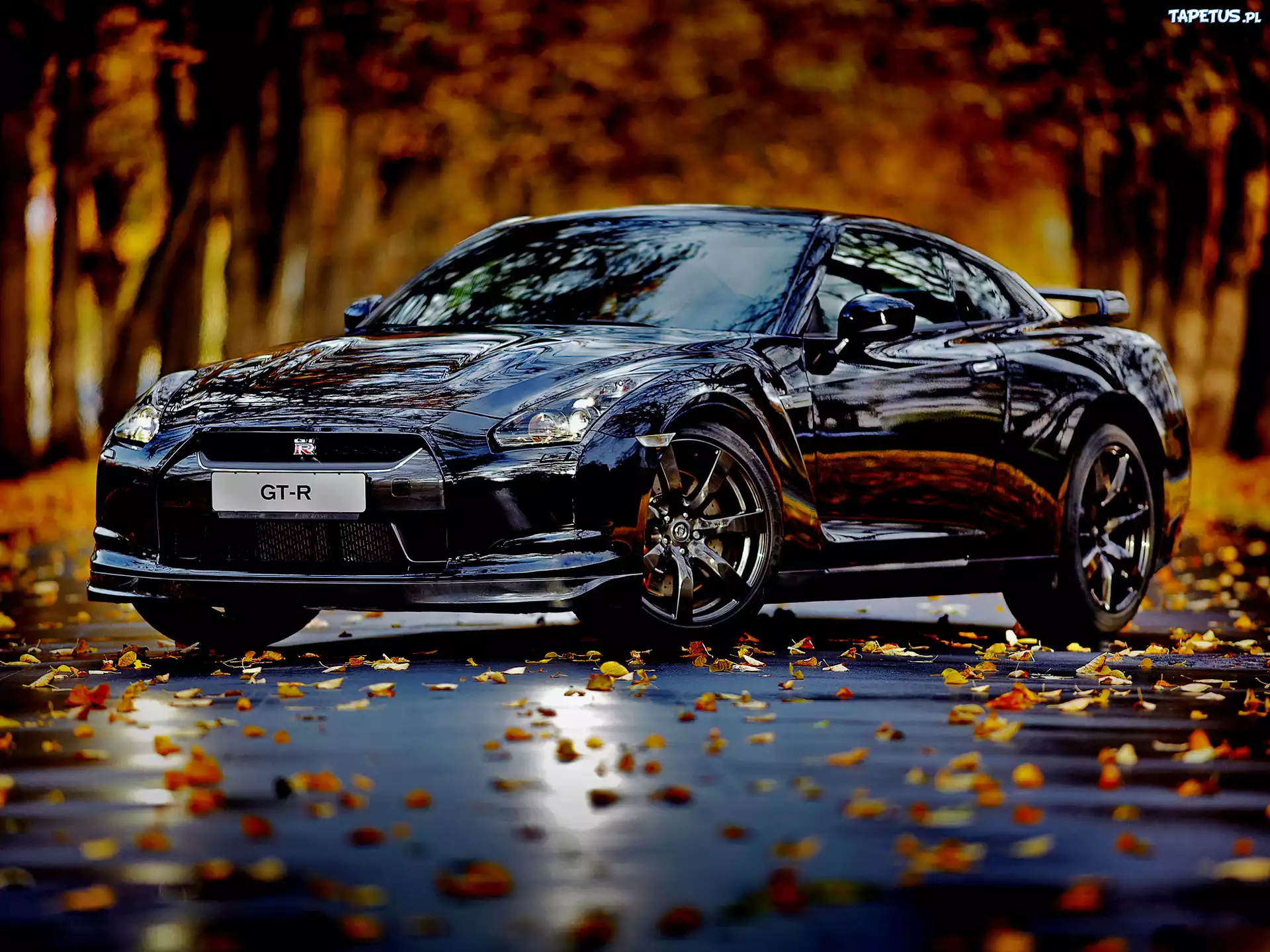 Granatowy, Samochód, Nissan, GTR, Jesień, Blask