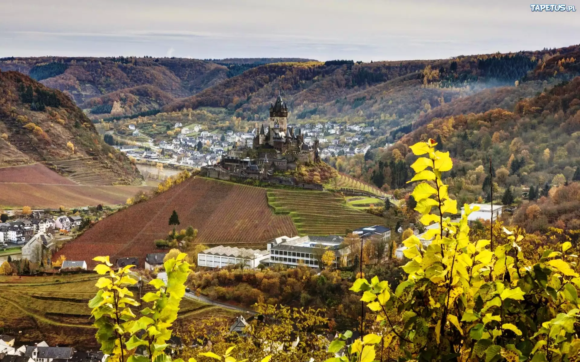 Zamek, Panorama, Reichsburg, Cochem, Niemcy