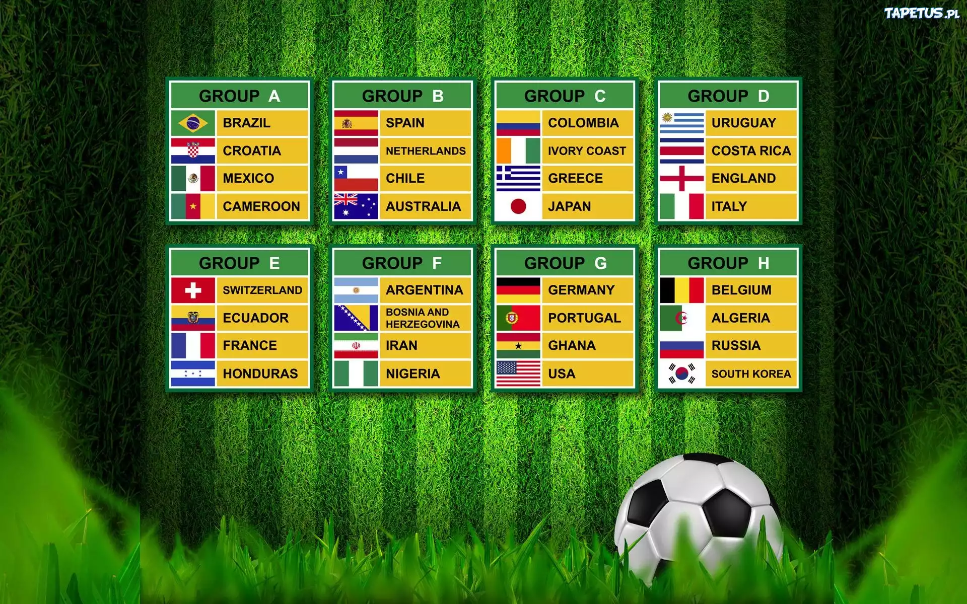 Fifa, World, 2014, Grupy