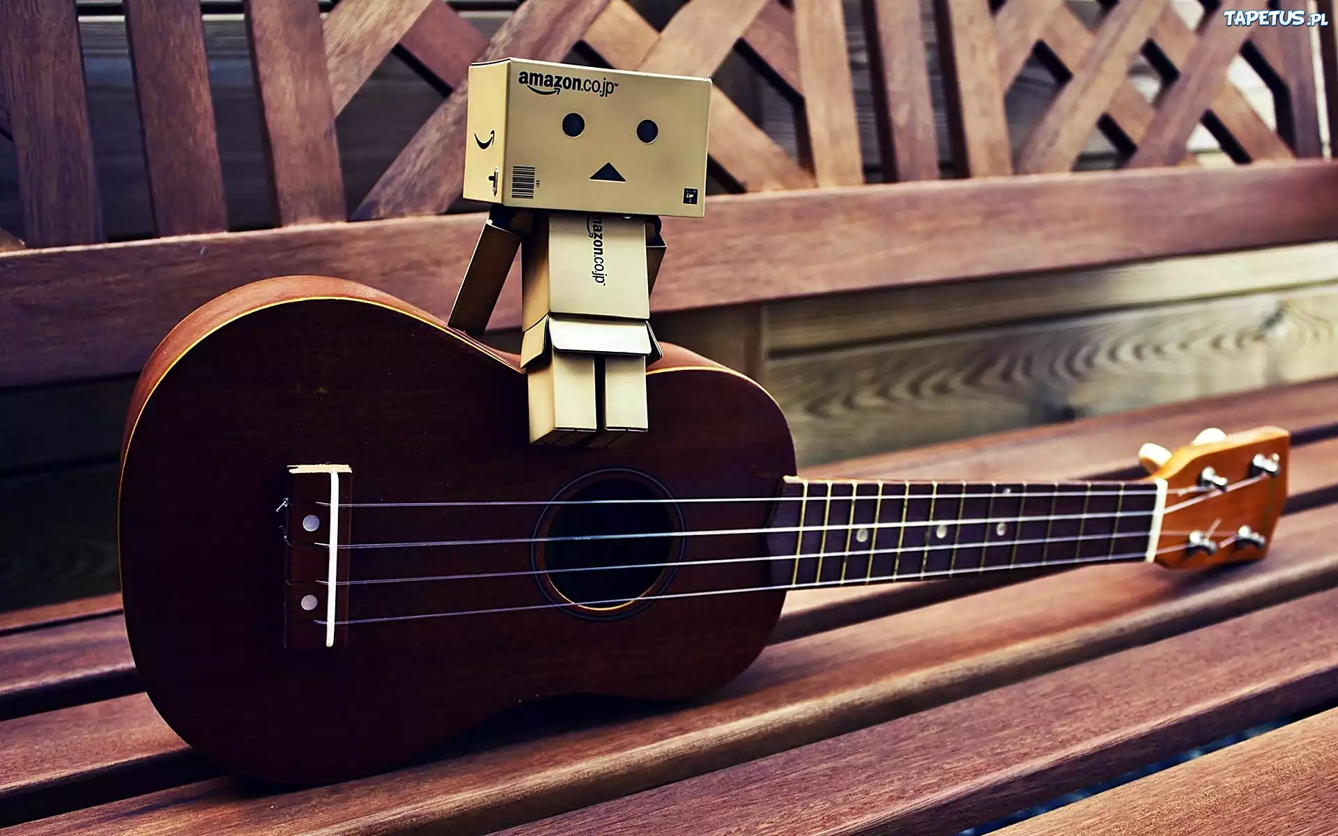 Danbo, Gitara, Ławeczka