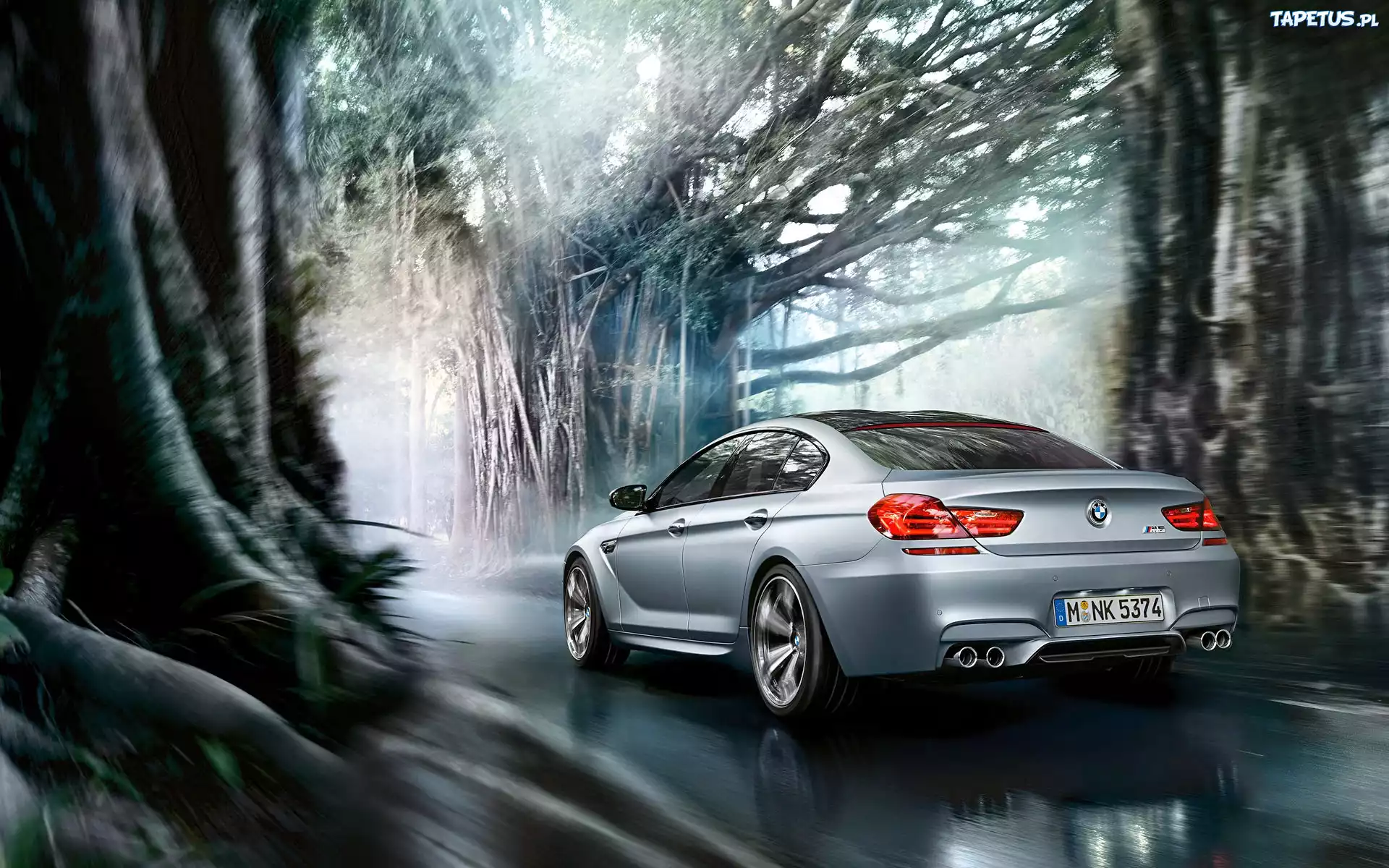 Bmw M6, Droga, Drzewa