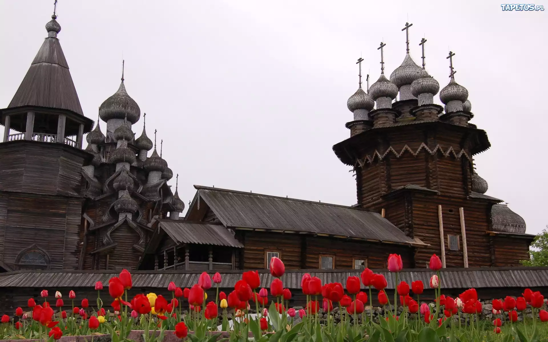 Karelia, Kiży, Drewniane, Cerkwie, Tulipany