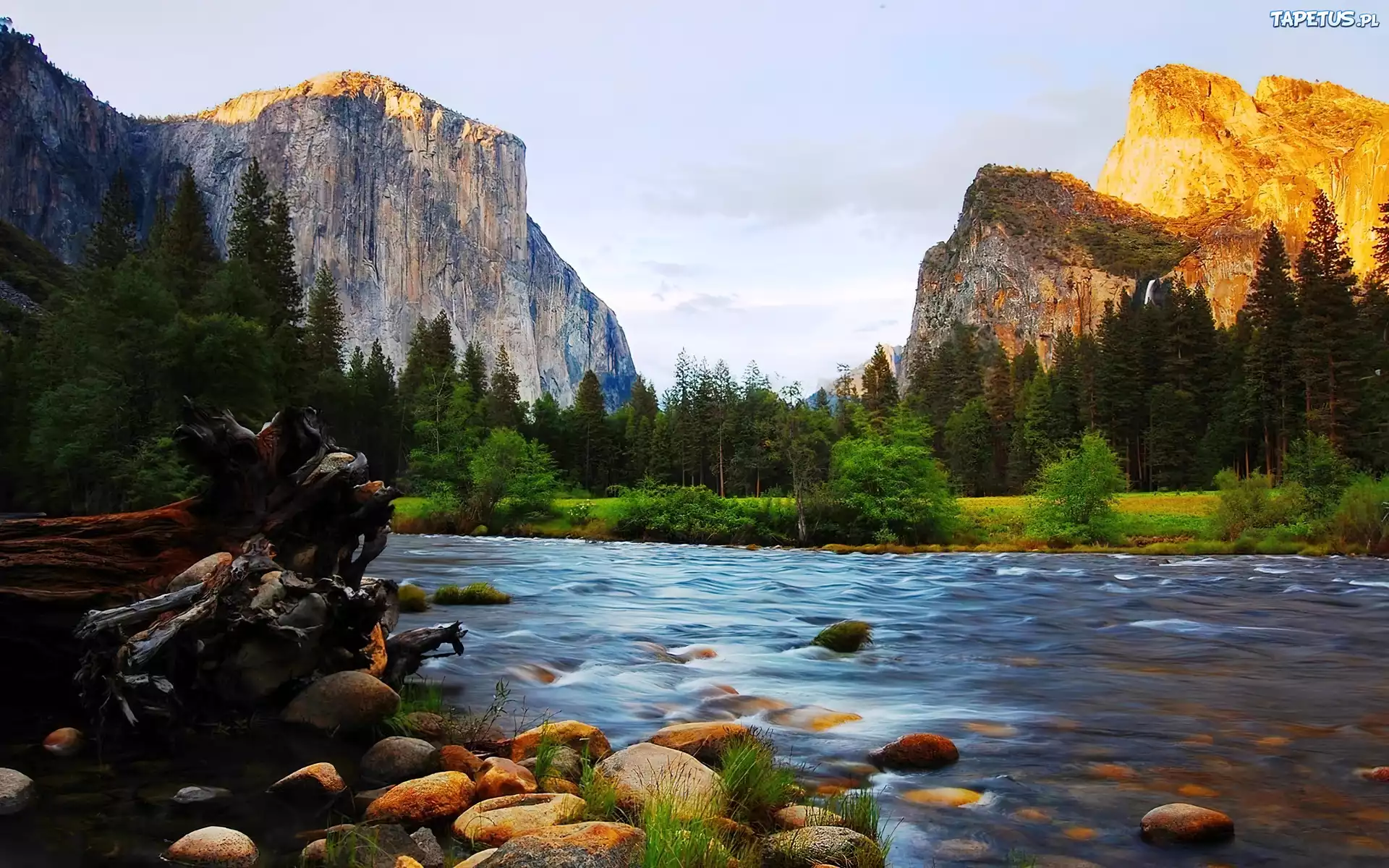 Природа сша 7 класс. Национальный парк Yosemite National Park. Калифорния Йосемитский парк. Река Мерсед, Йосемити, США.. Йосемитский национальный парк достопримечательности.