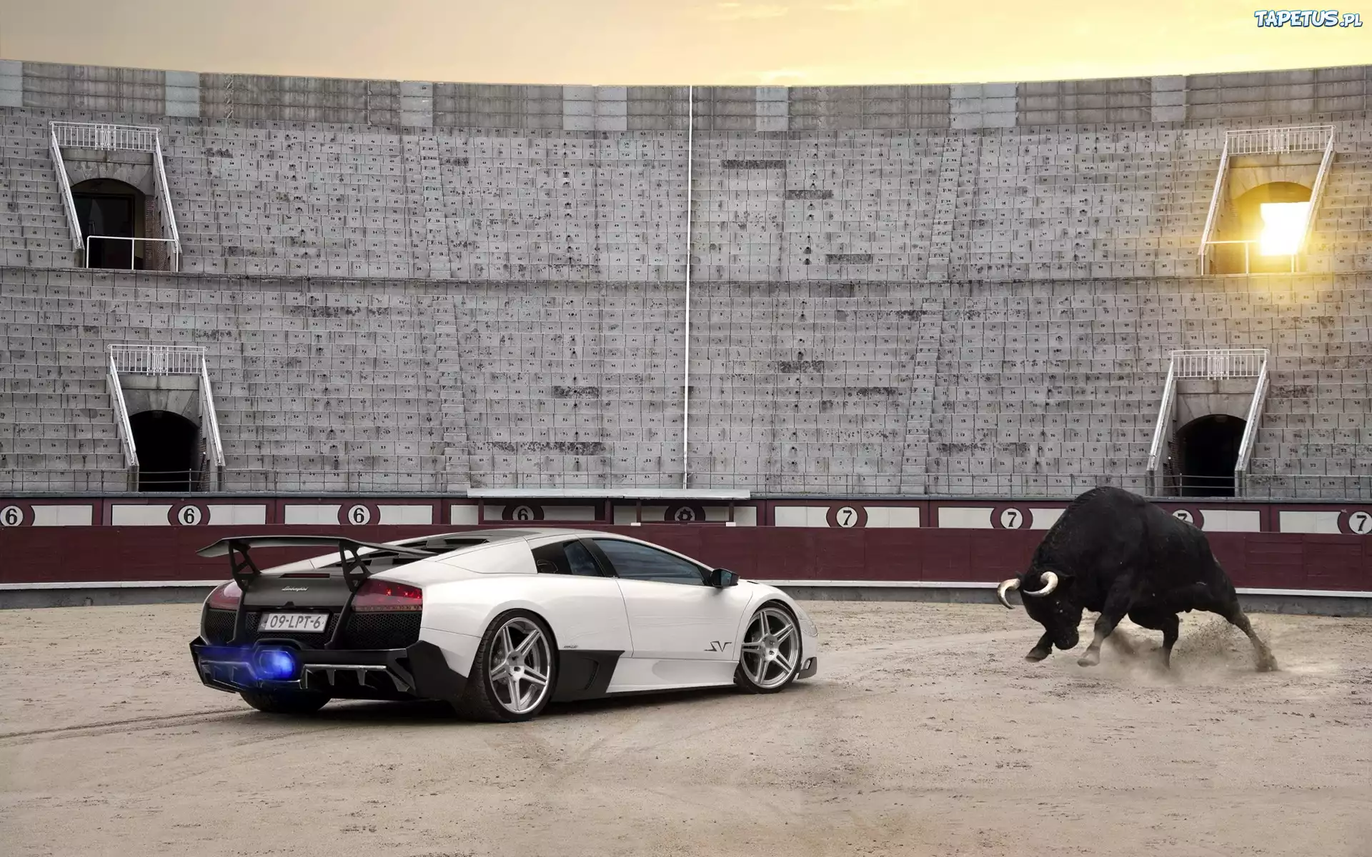 Lamborghini, Murcielago, Stadion, Byk