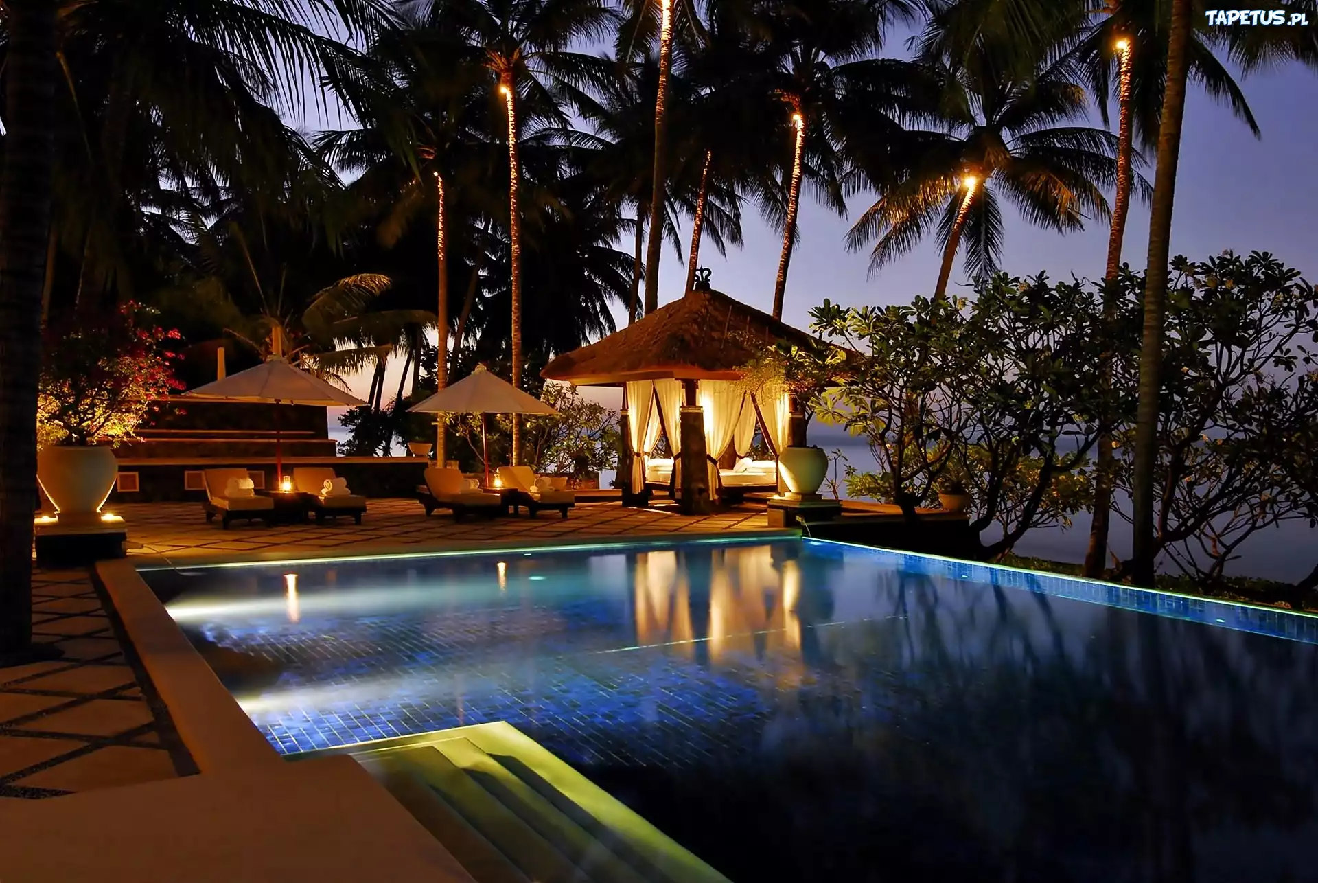 Hotel, Basen, Palmy, Noc, Bali