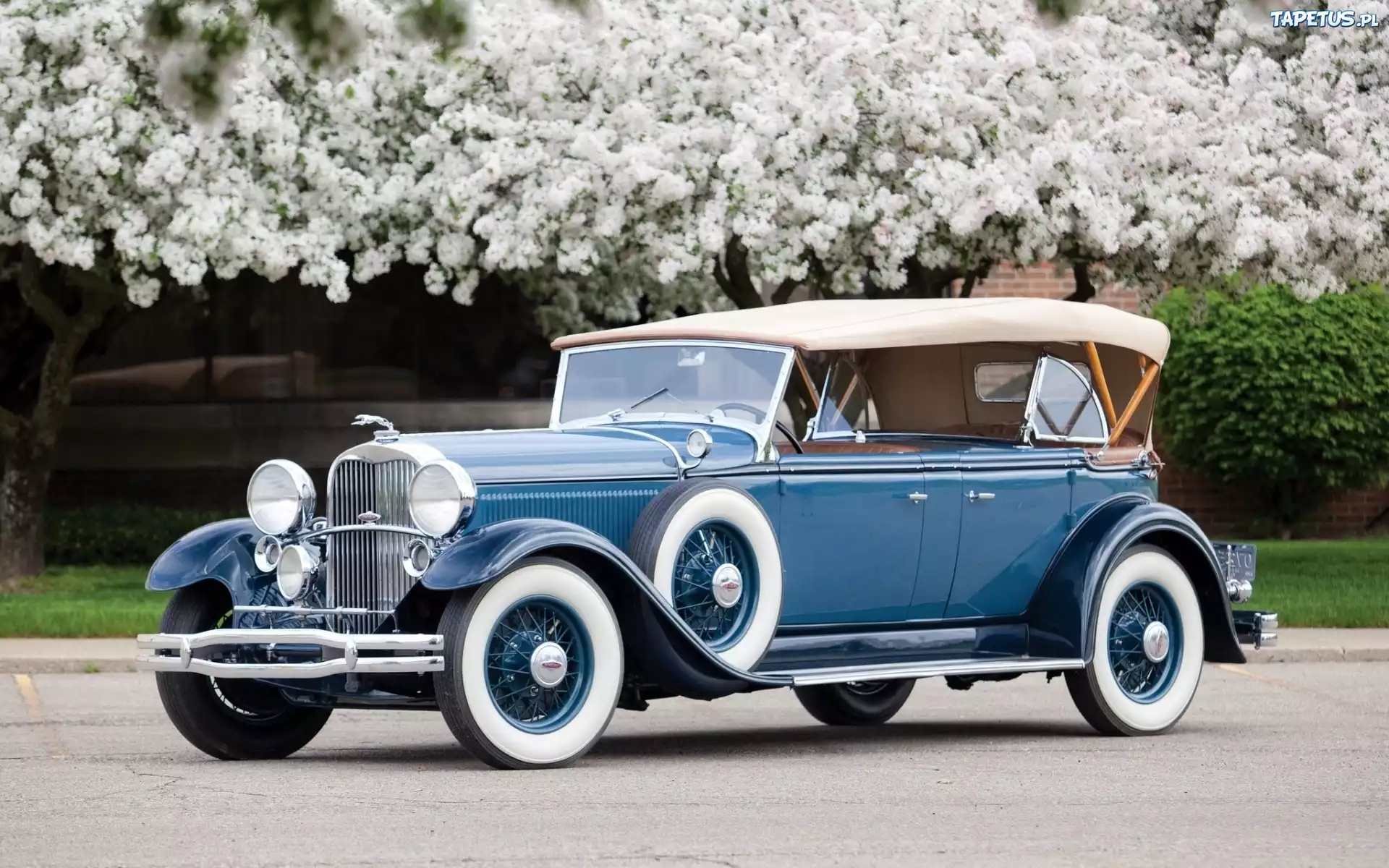 Phaeton, Lincoln, Sportowy, 1931, Zabytkowy, Droga, Kwitnące, Drzewa