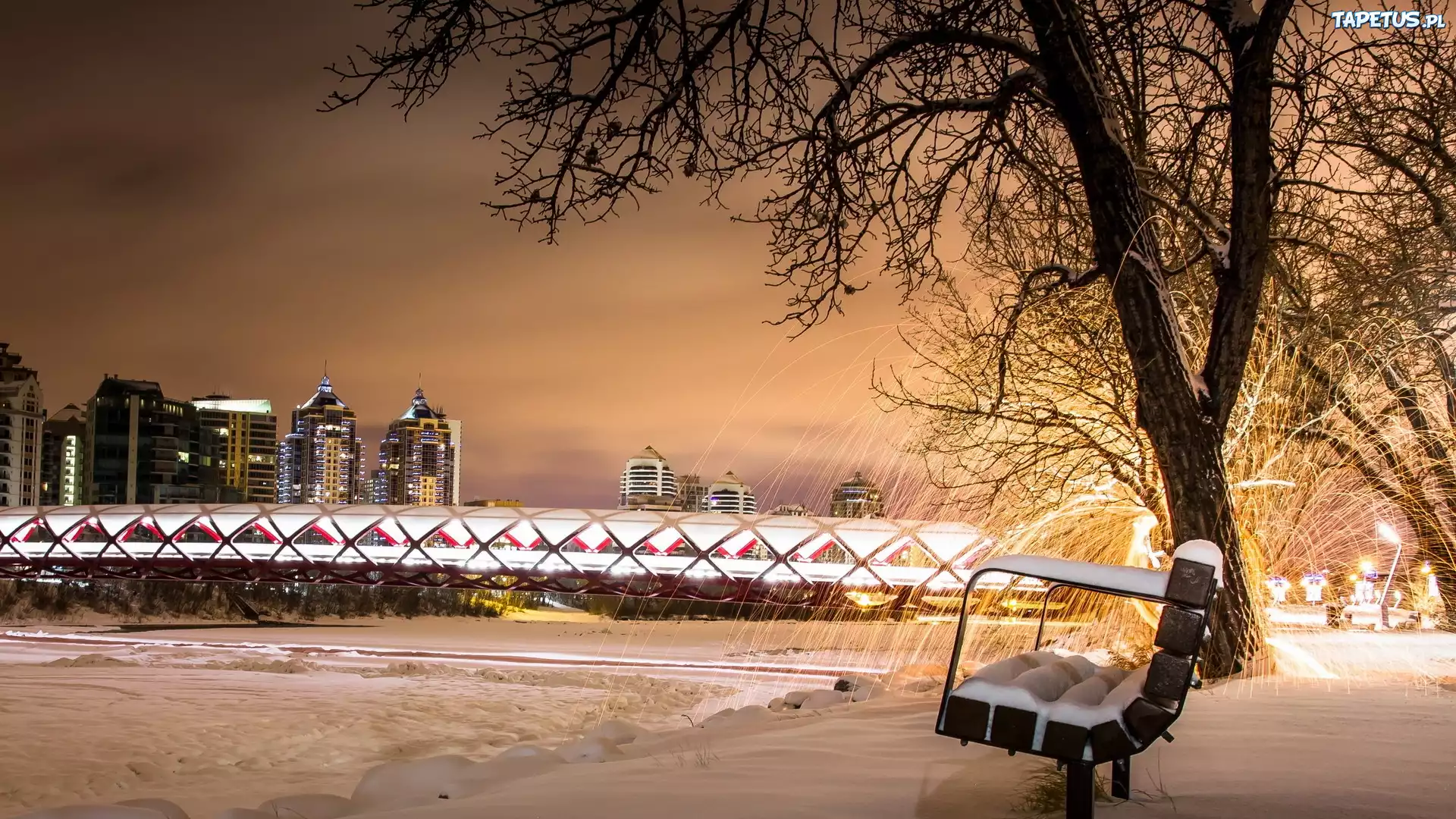 Calgary, Most, Zima, Drzewo, Ławka