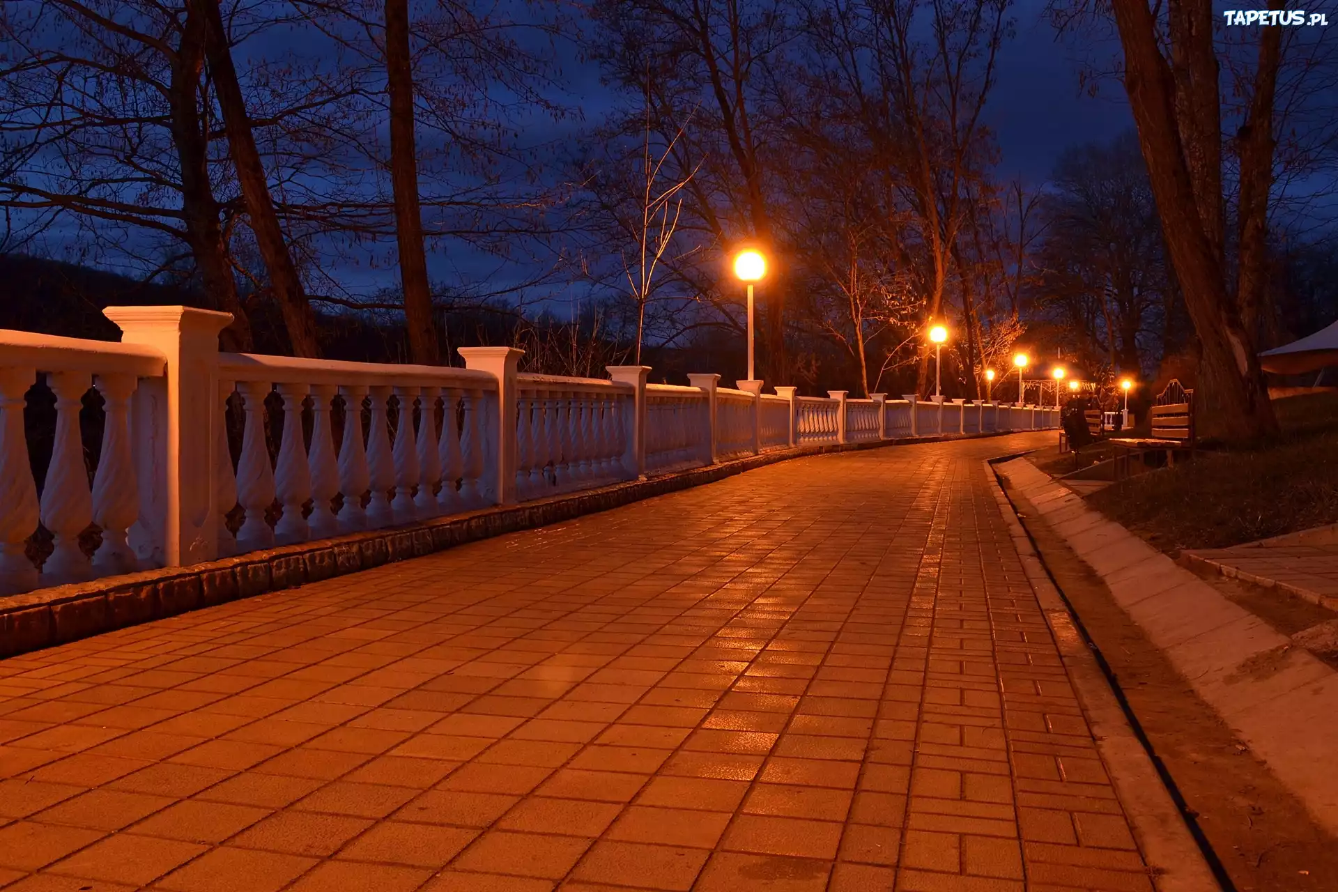 Park, Deptak, Lampy, Zmierzch