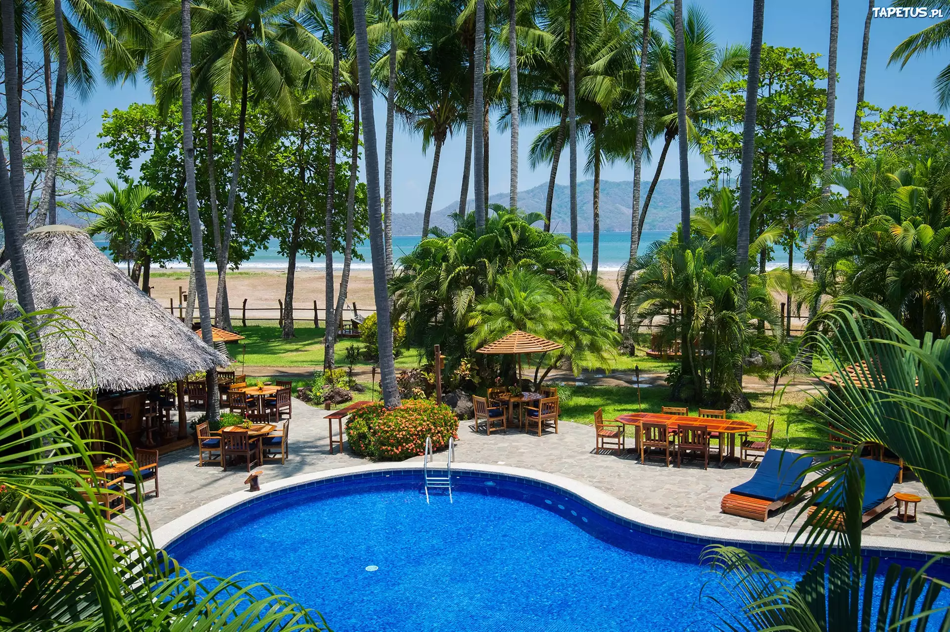 Hotel, Basen, Palmy
