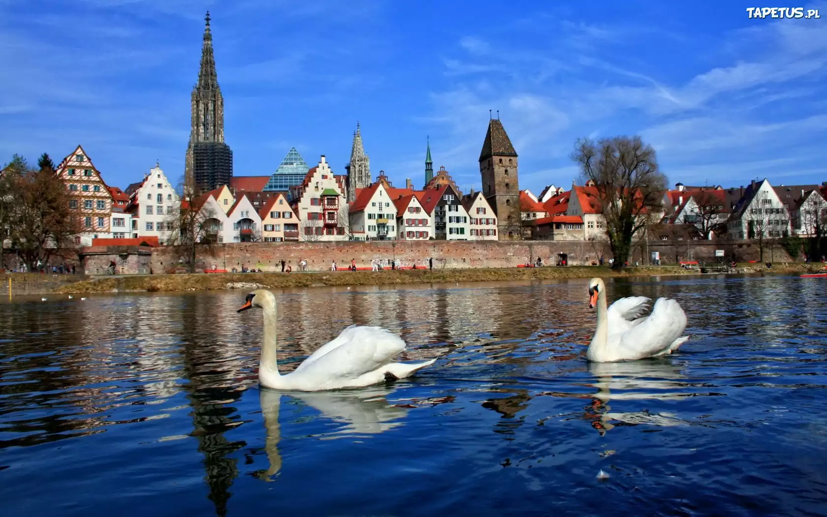 Łabędzie, Miasteczko, Bawaria, Niemcy