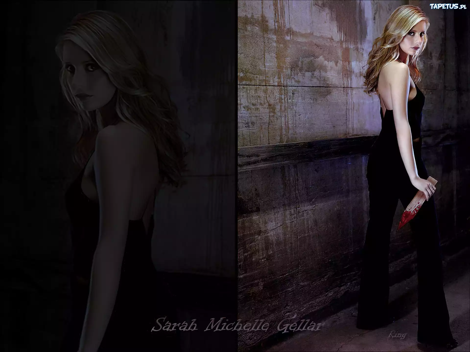 Sarah Michelle Gellar, Kakrwawiony kołek