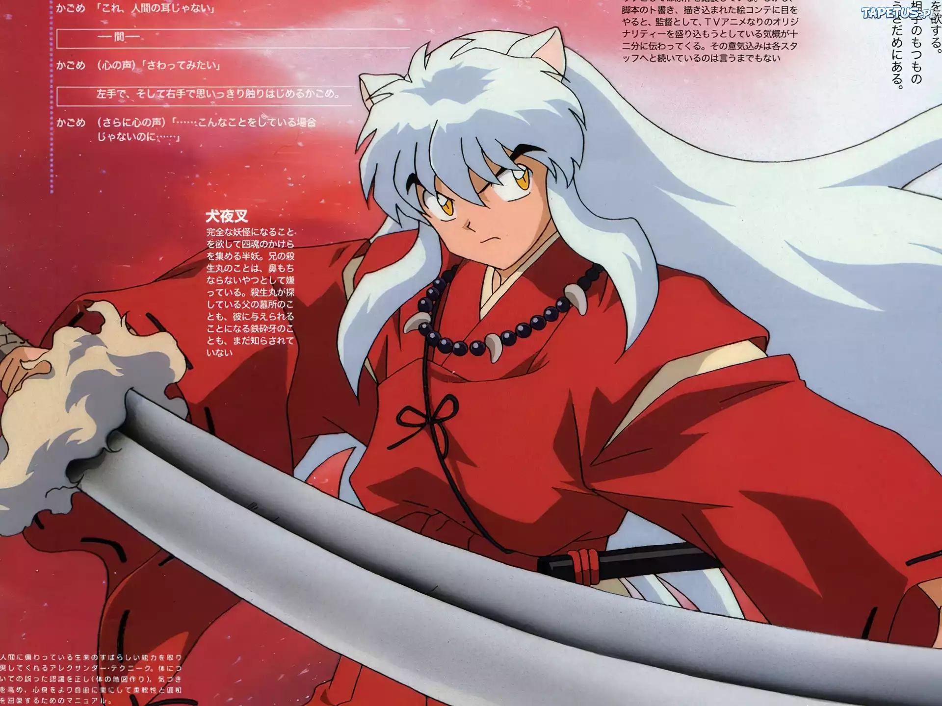 Inu Yasha, facet, miecz