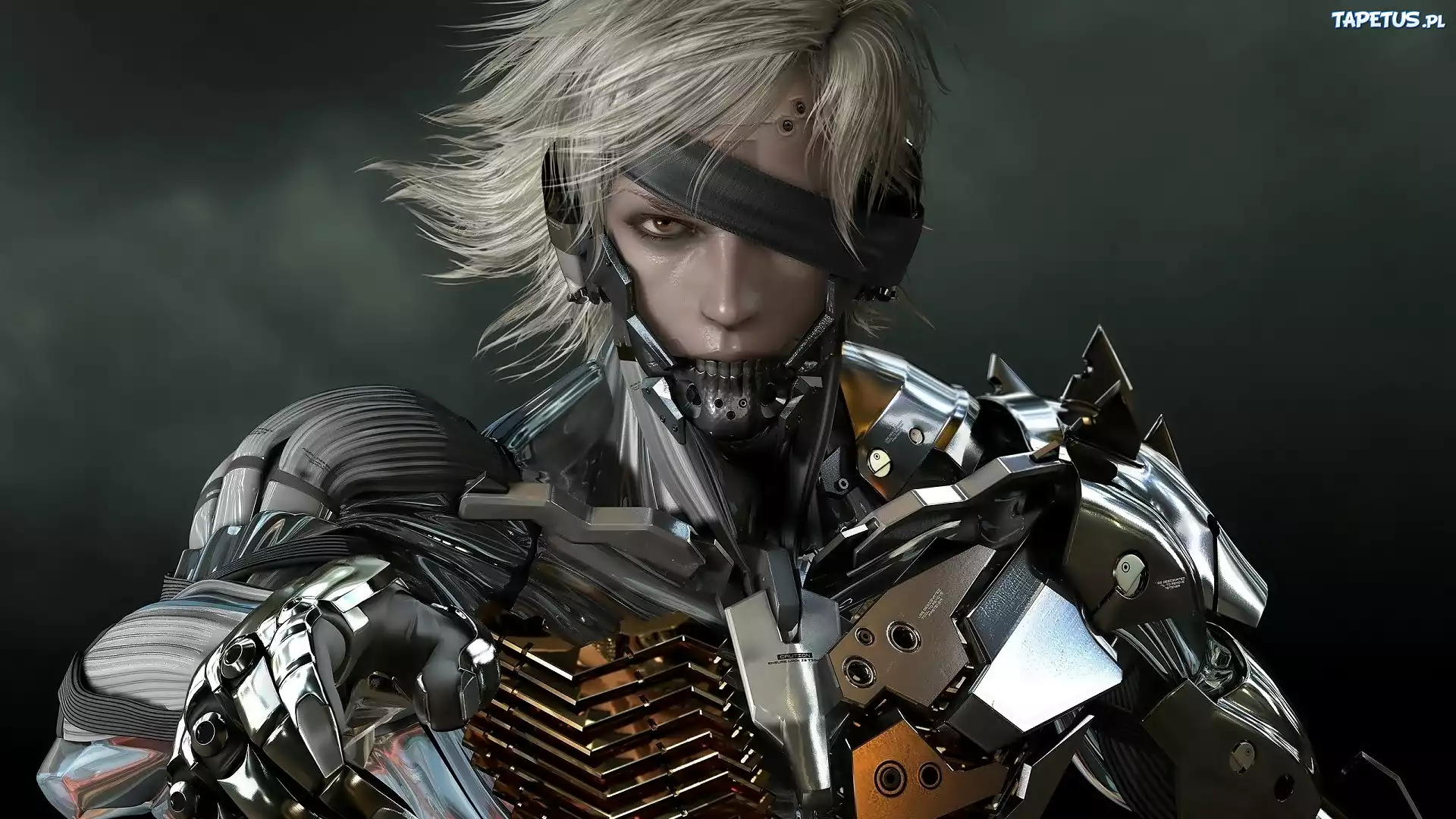 Metal Gear Rising Revengeance