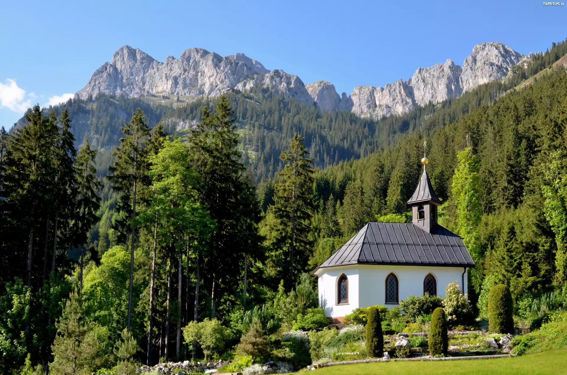 Kapliczka, Góry, Las