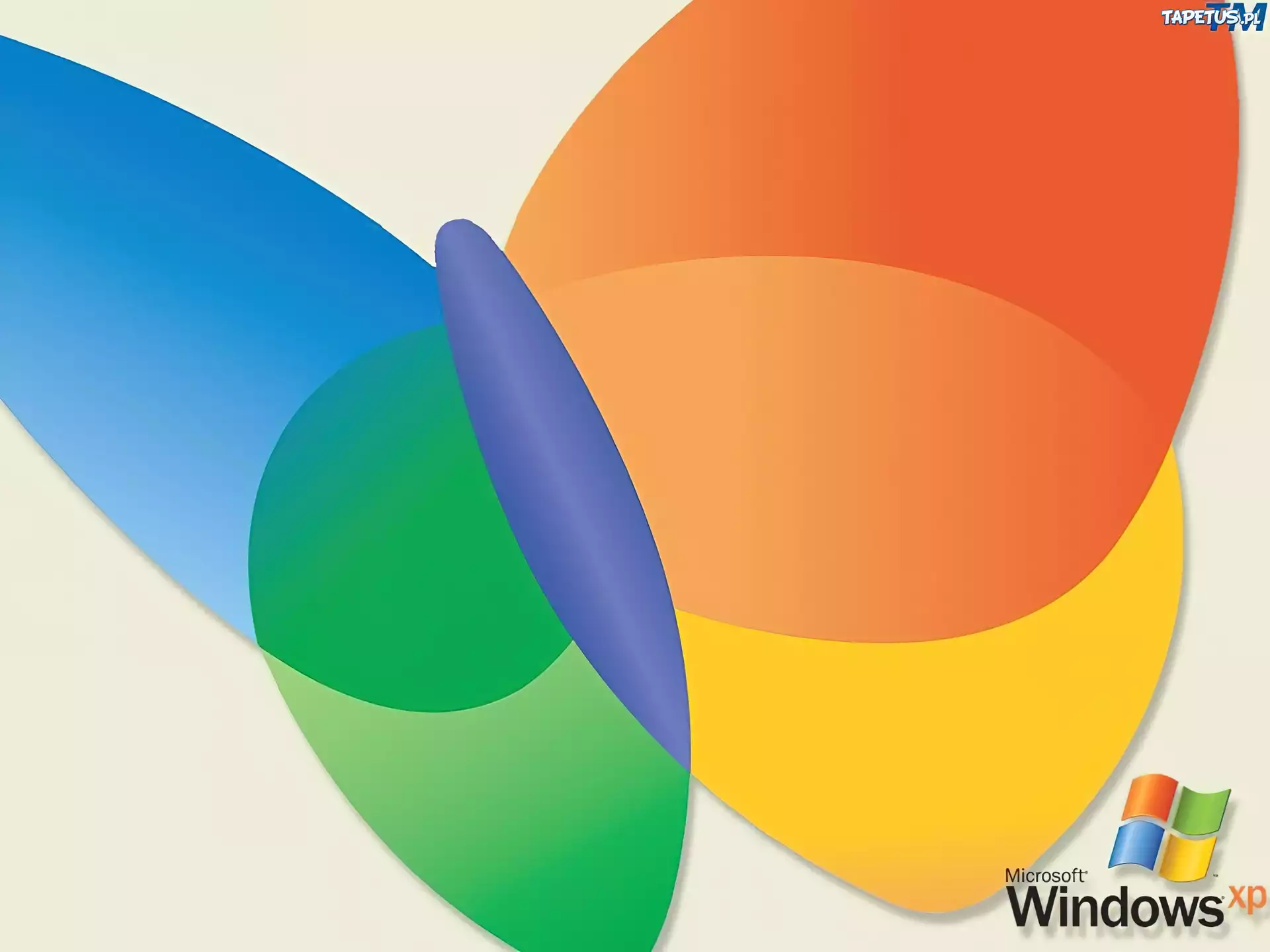 Windows XP