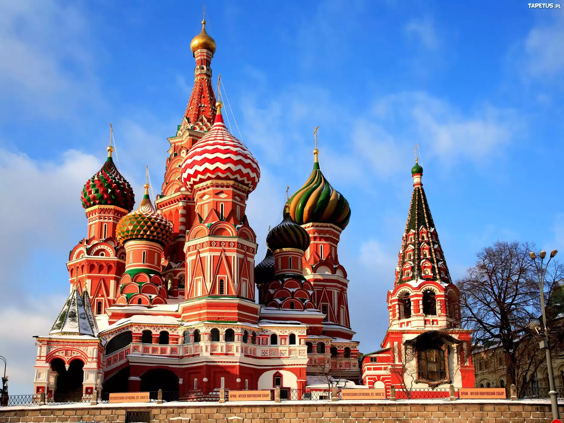 Katedra, Saint Basils, Moskwa, Rosja