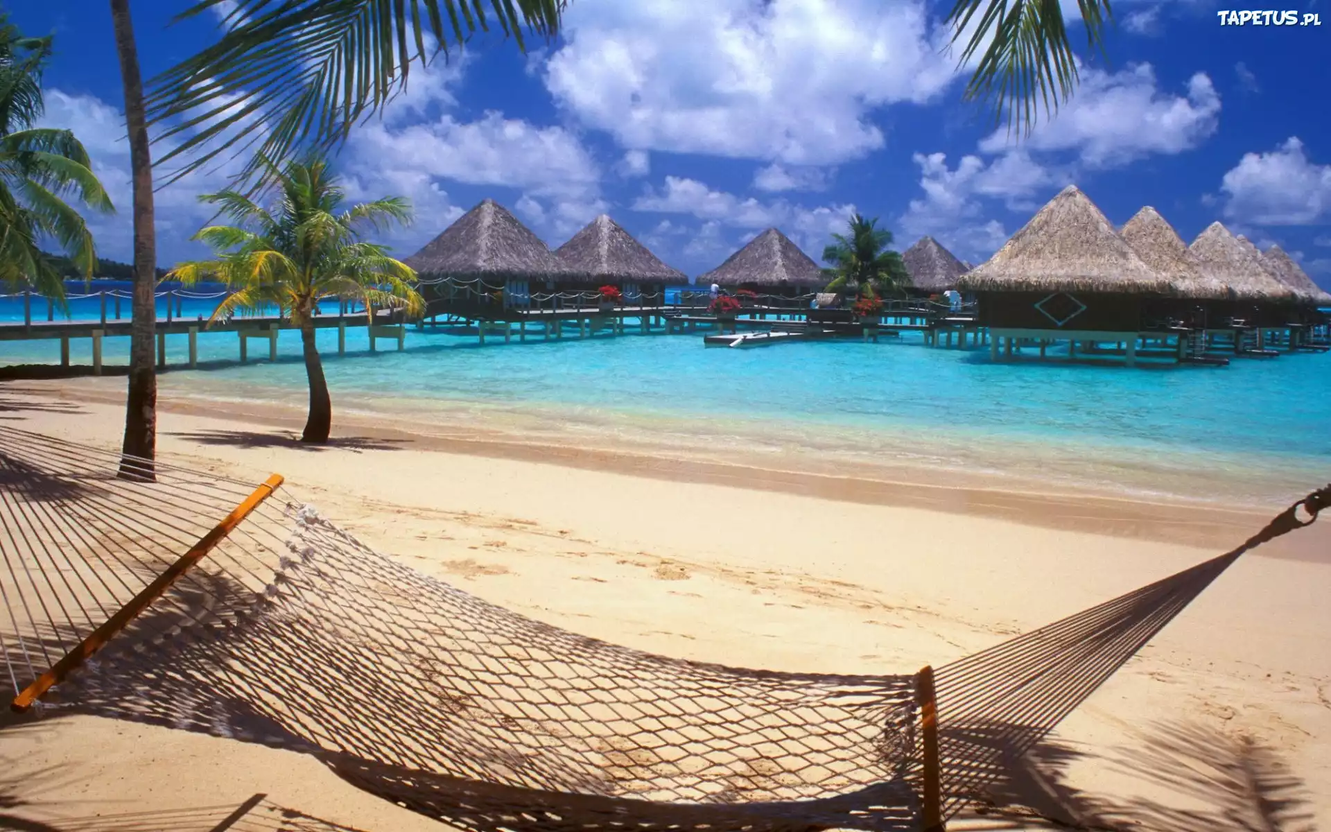 Plaża, Palmy, Hamak, Molo, Domy, Na, Palach, Bora Bora, Wyspa, Ocean