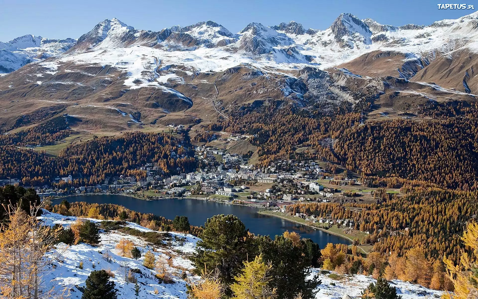 Alpy, Lasy, Jezioro, Kurort, St.Moritz