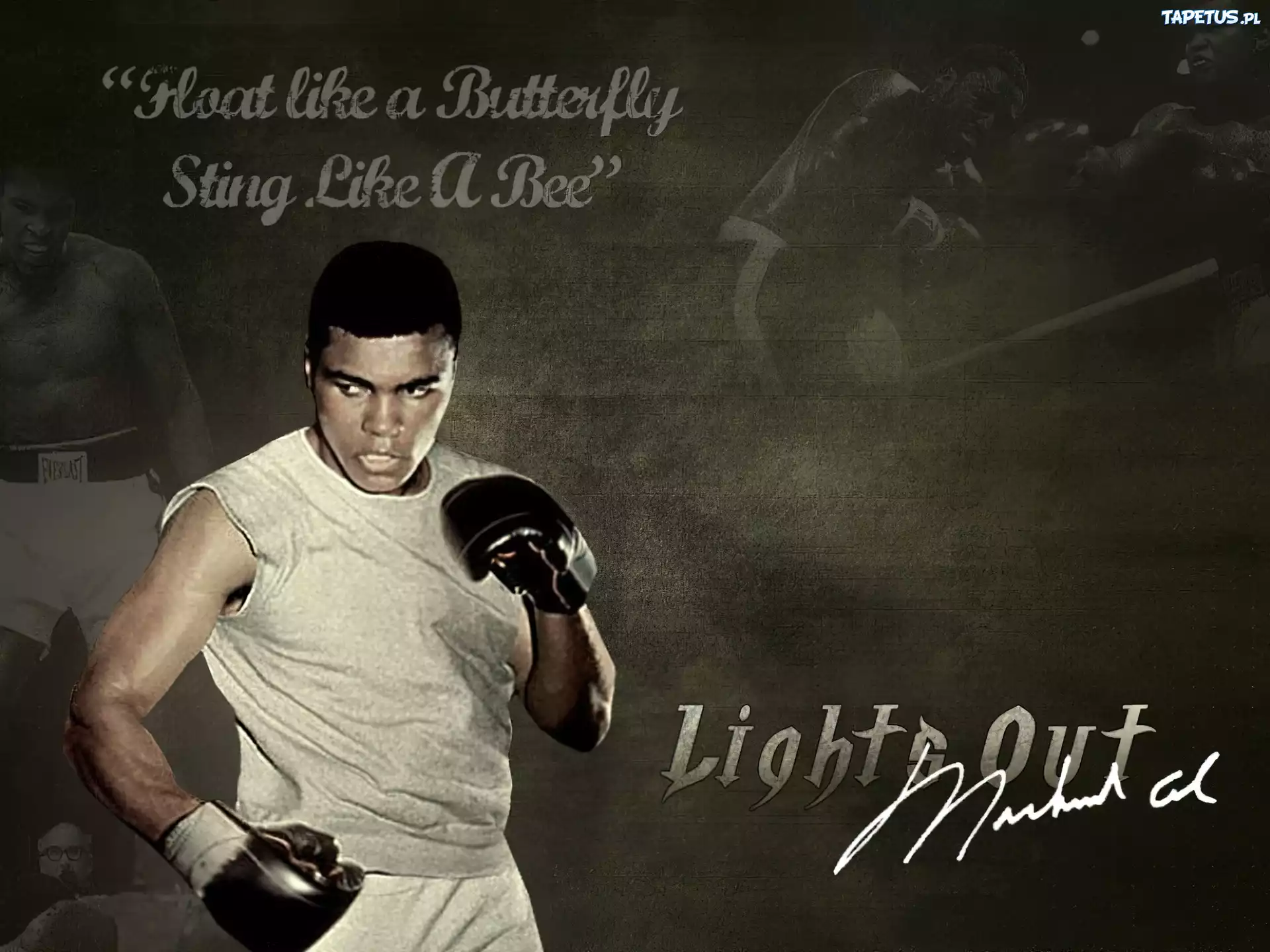 Muhammad Ali, Boks