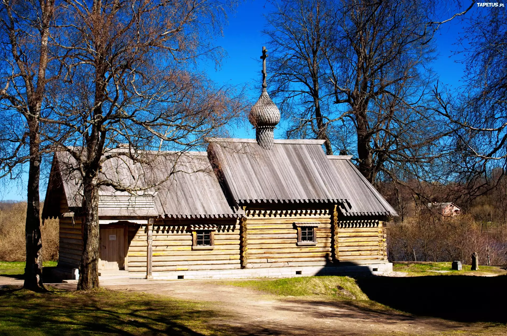 Kaplica, Drzewa