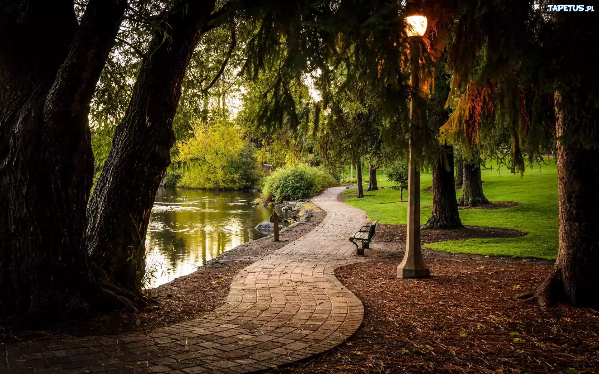 Park, Alejka, Staw, Latarnia, Ławki