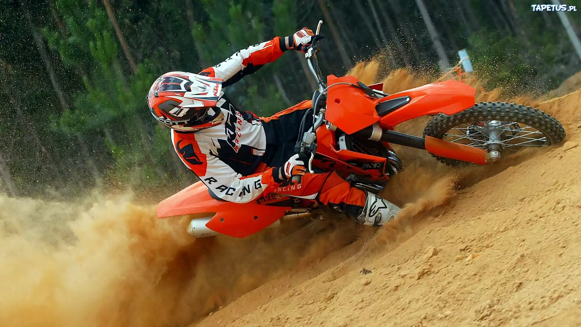 Las, Motocross, Zawodnik