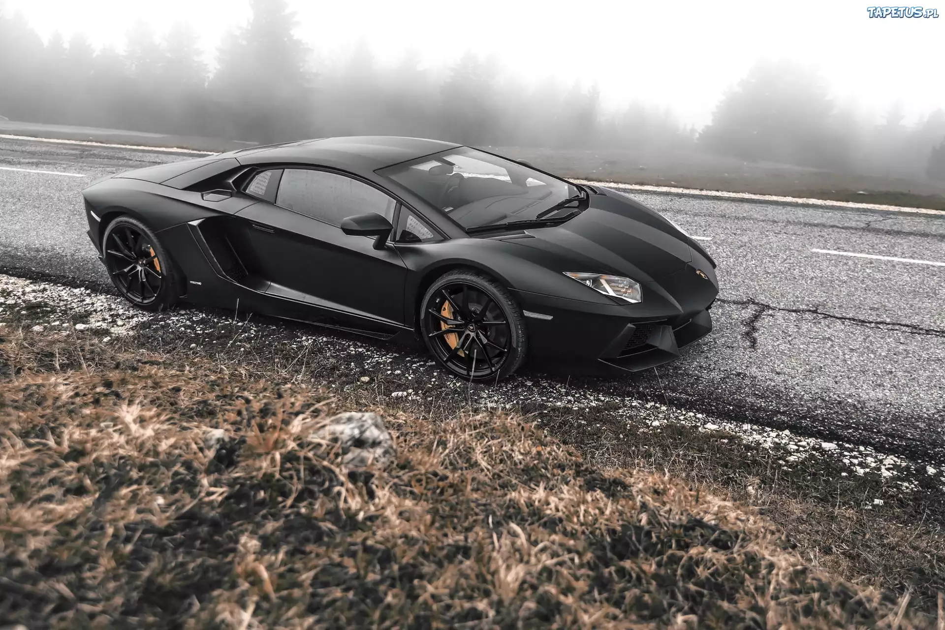 Lamborghini, Adventador, Droga, Drzewa, Mgła