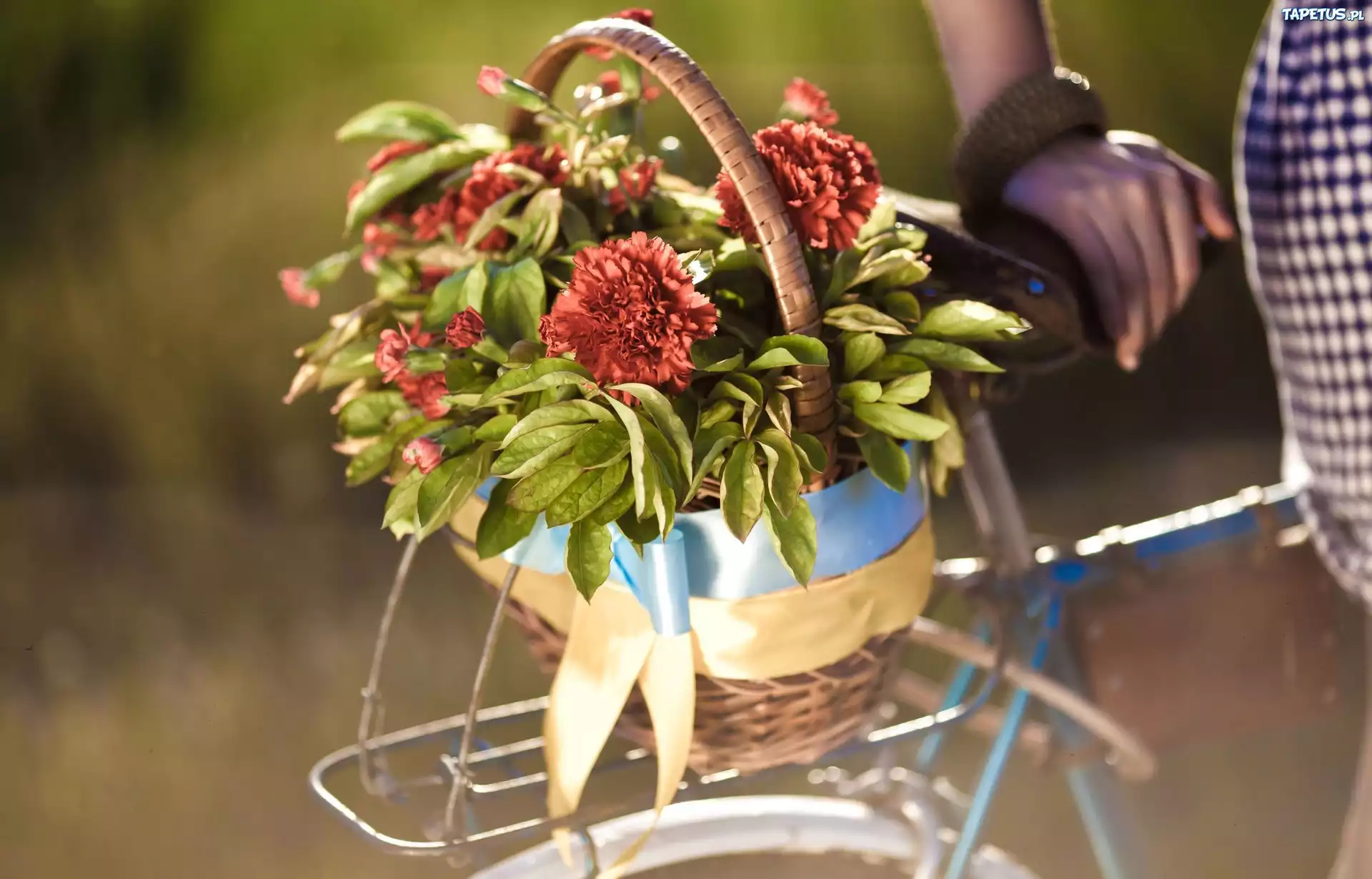 Девочка велосипед цветочки без смс