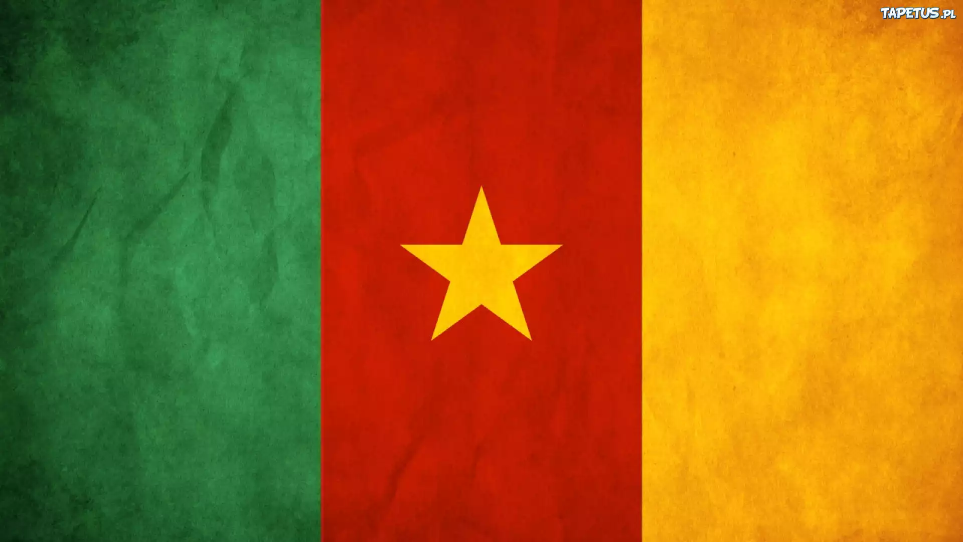 Flaga, Kamerun