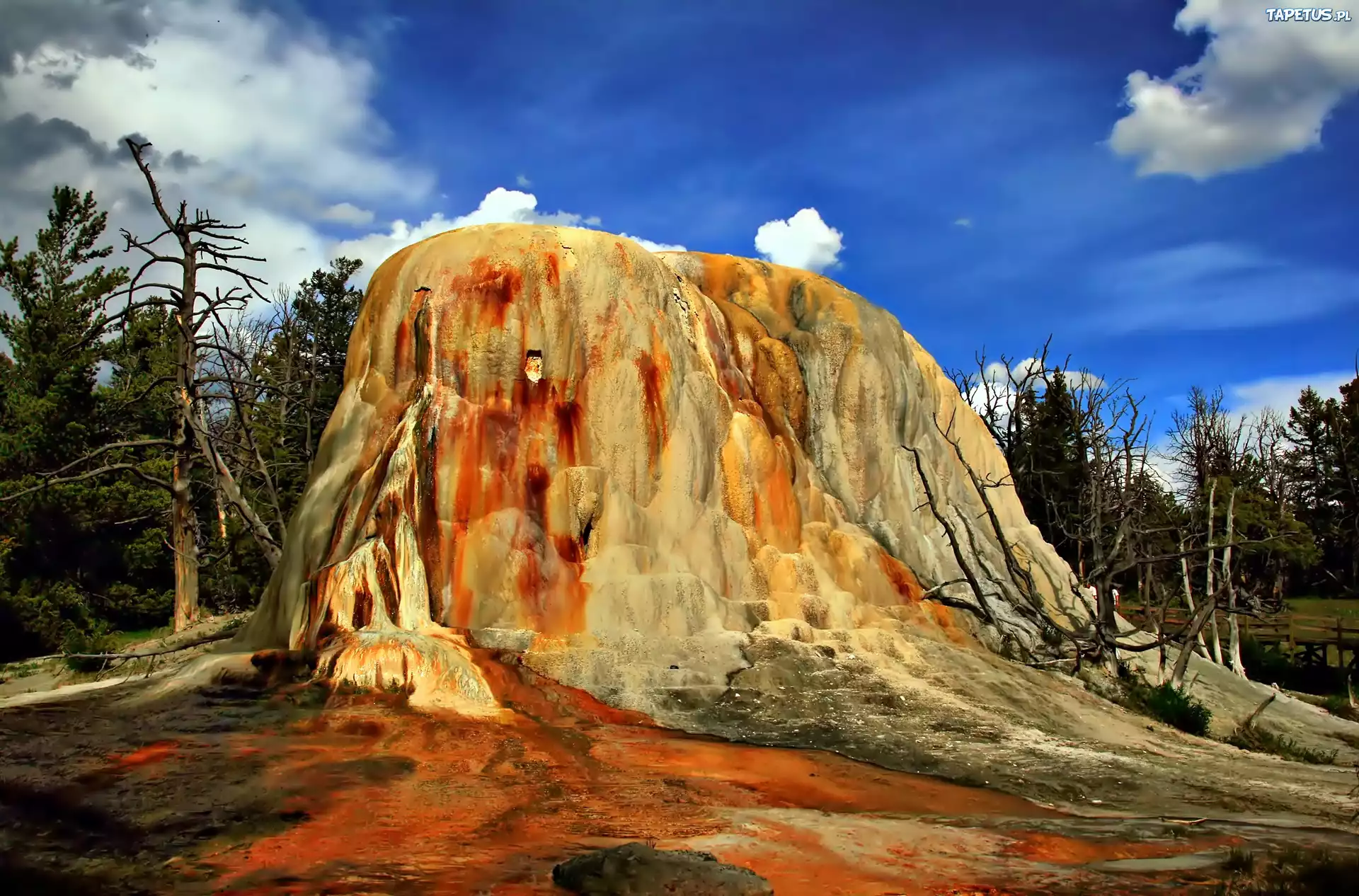 Skała, Park Narodowy, Yellowstone