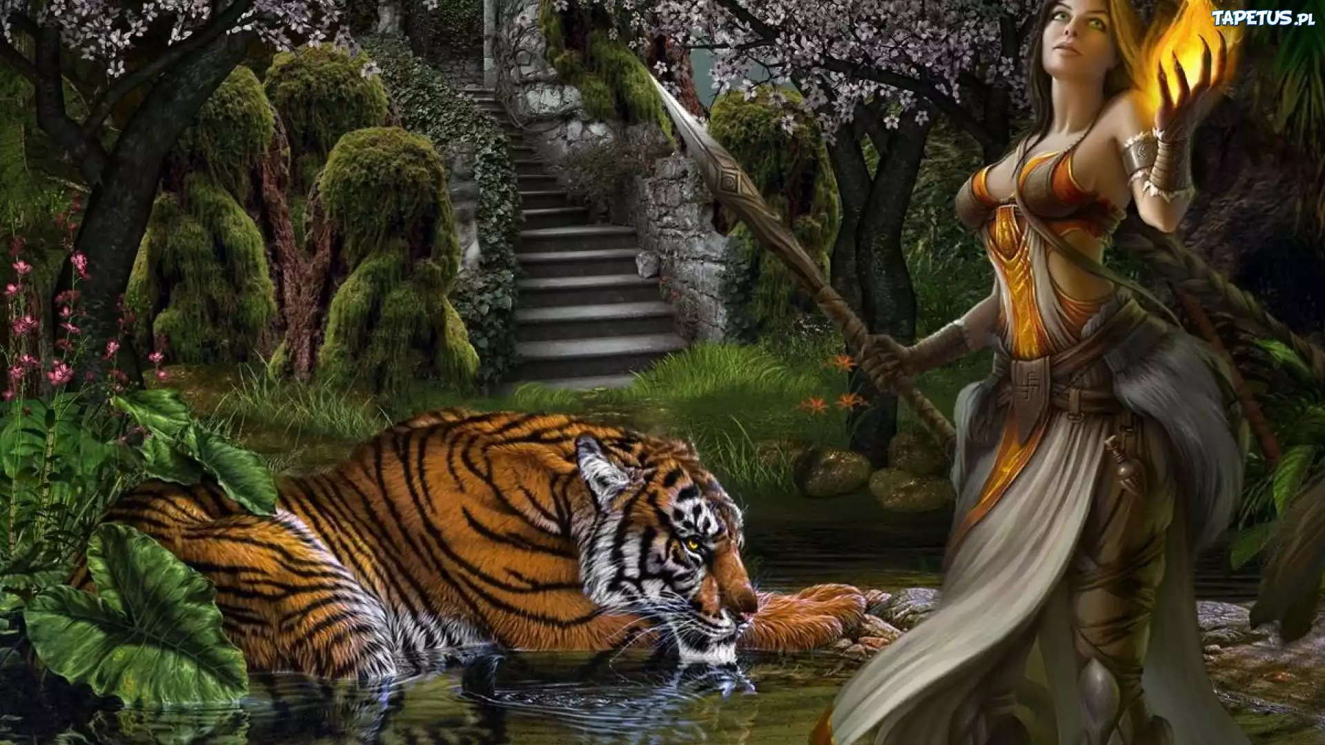 Kobieta, Tygrys, fantasy