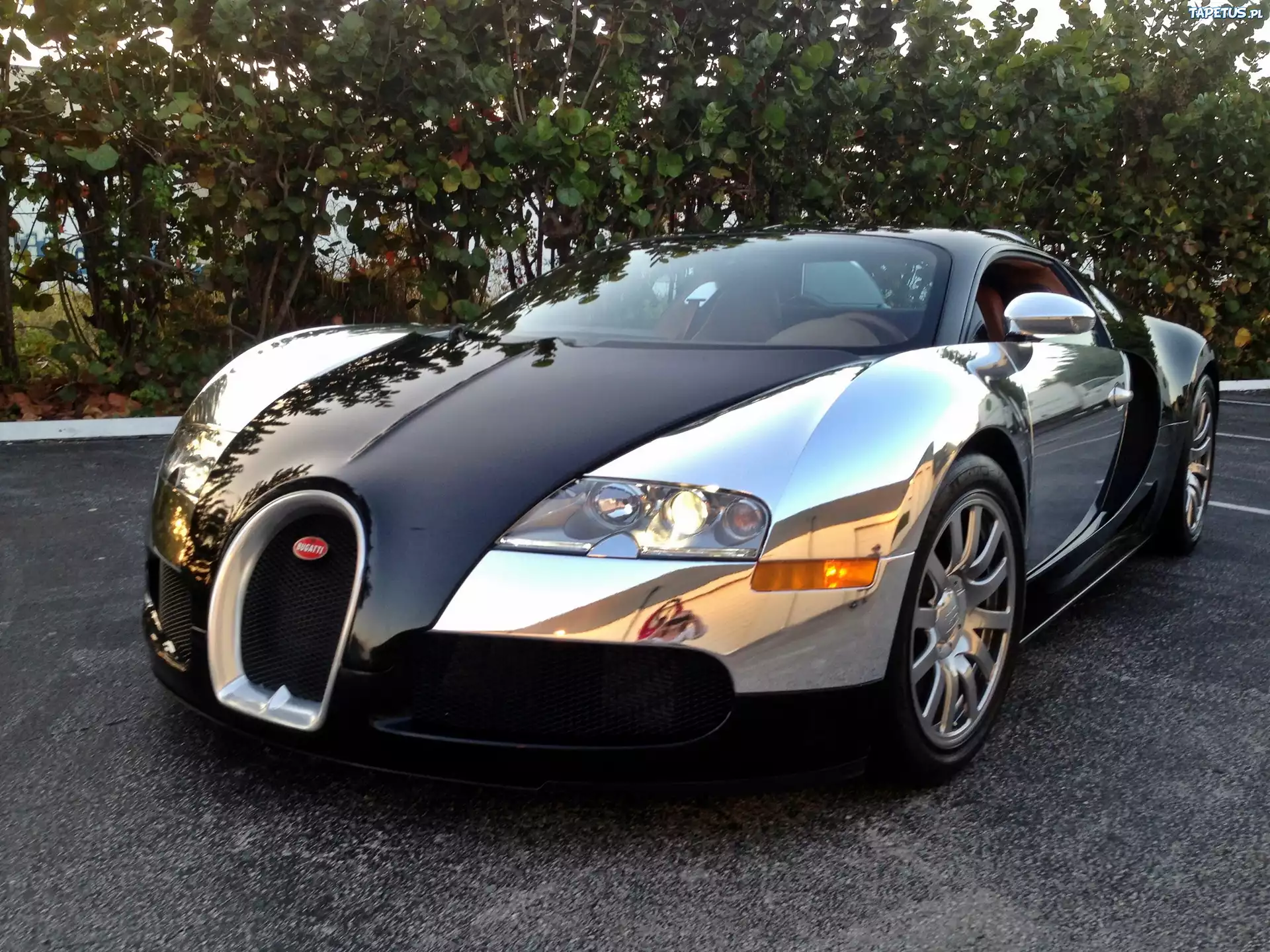 Bugatti, Veyron, Roślinność