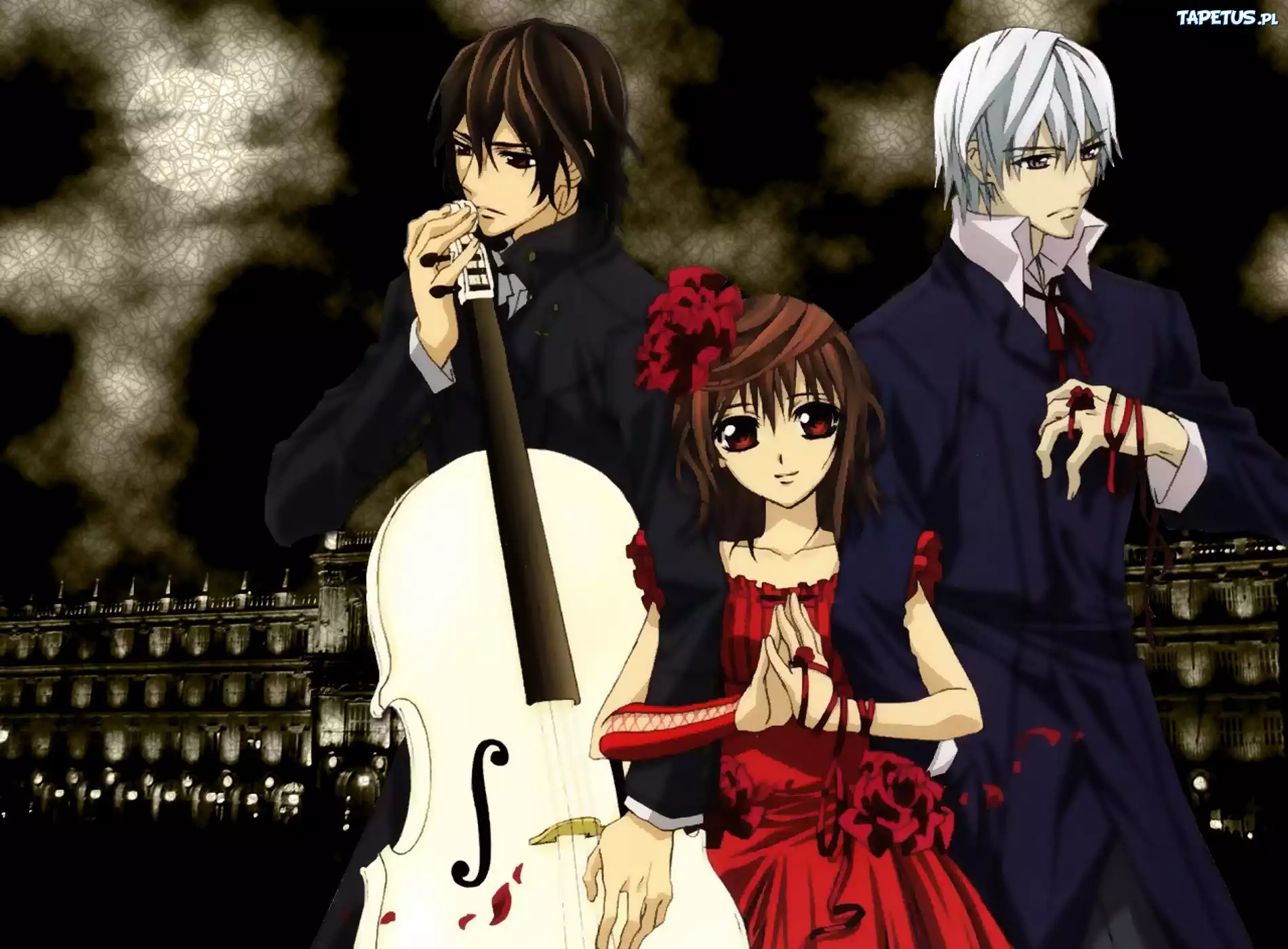 Vampire Knight, Yuuki, Zero Kiryuu, Wiolonczela