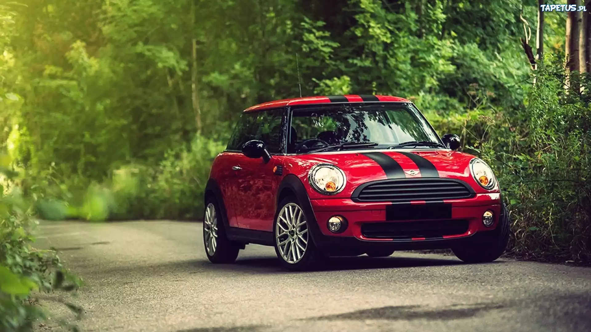 Mini, Cooper, Drzewa, Droga