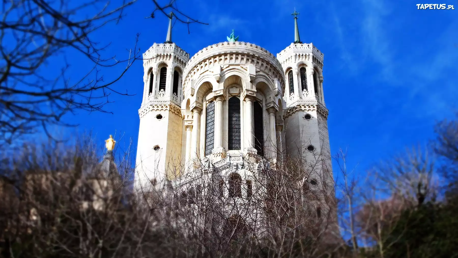 Katedra, Notre Dame, Paryż, Francja