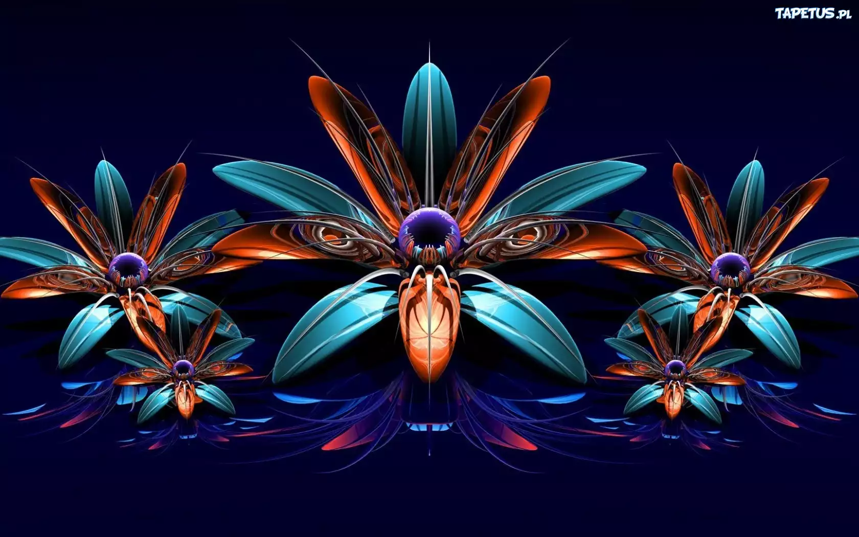Kwiaty, Grafika, Abstrakcja