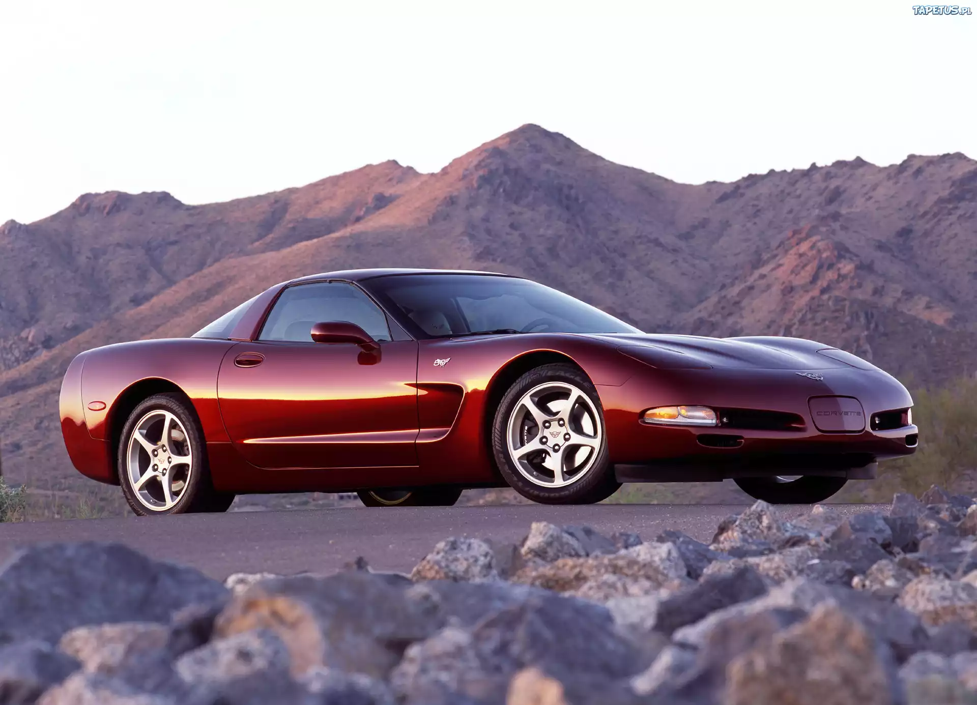 Corvette