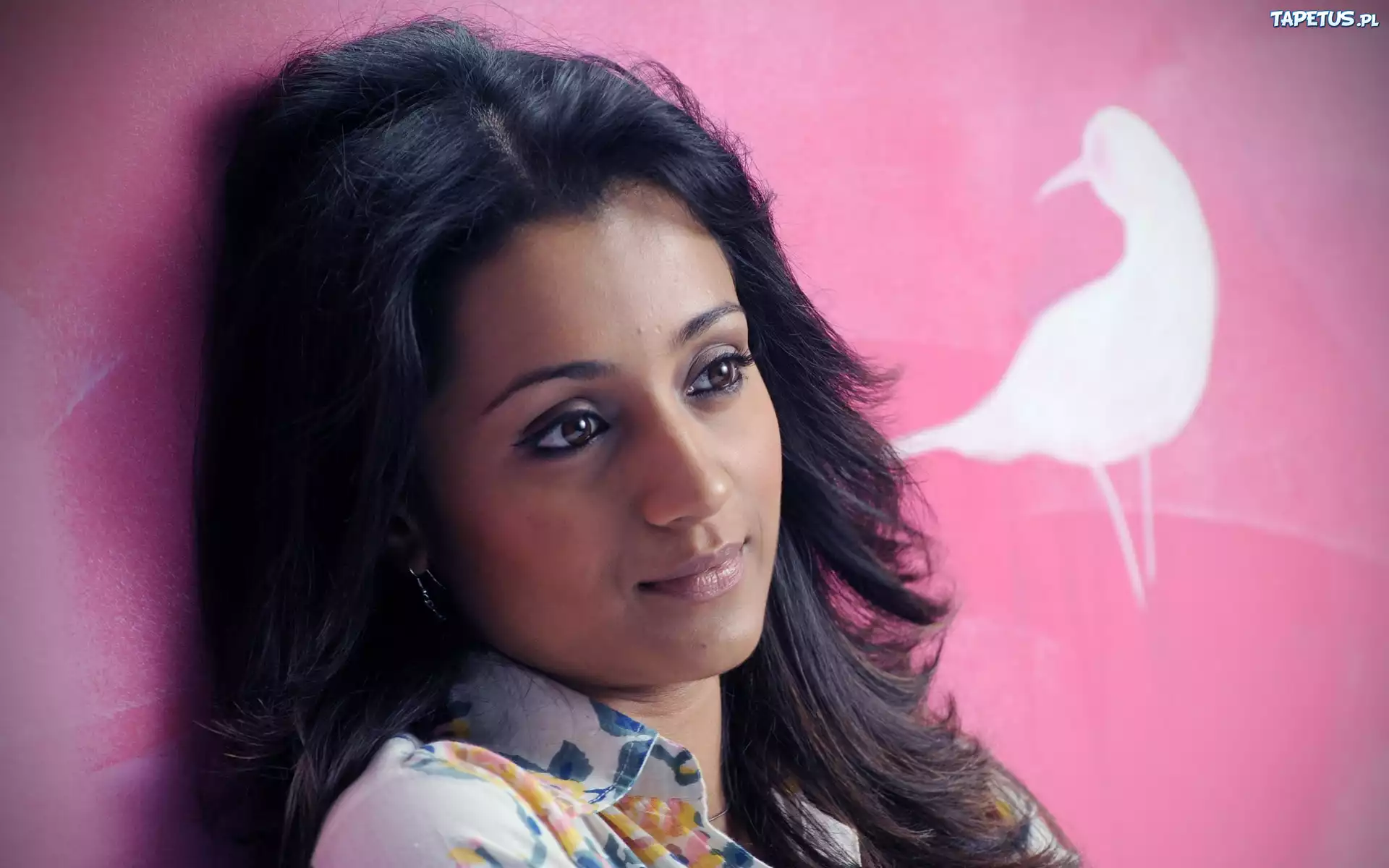 Trisha, Krishnan