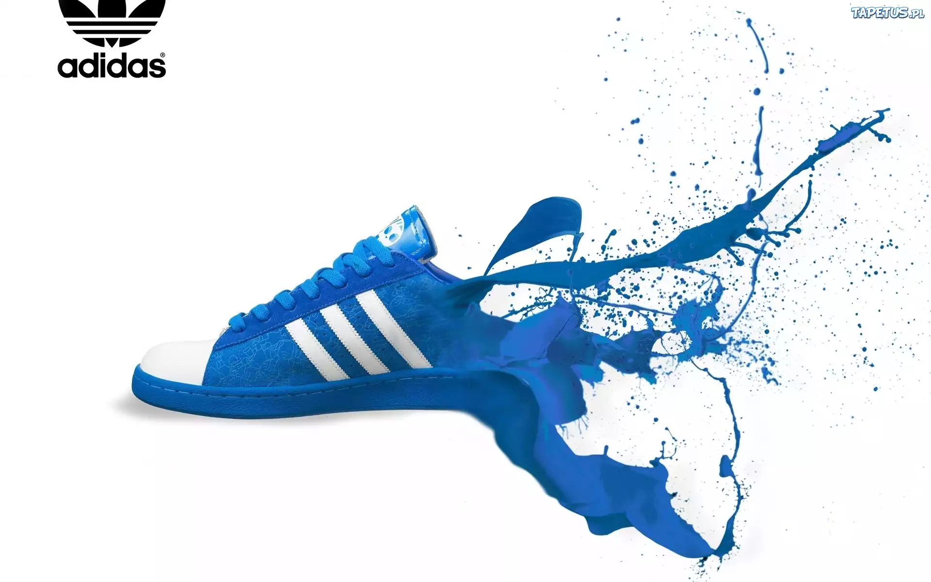 Adidas, Rozszarpany, But
