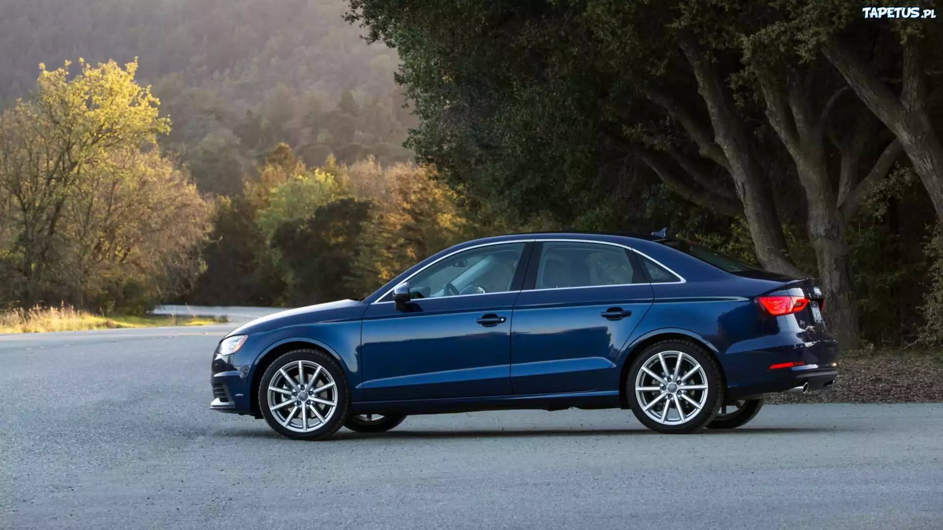 Audi, A3, Droga, Drzewa