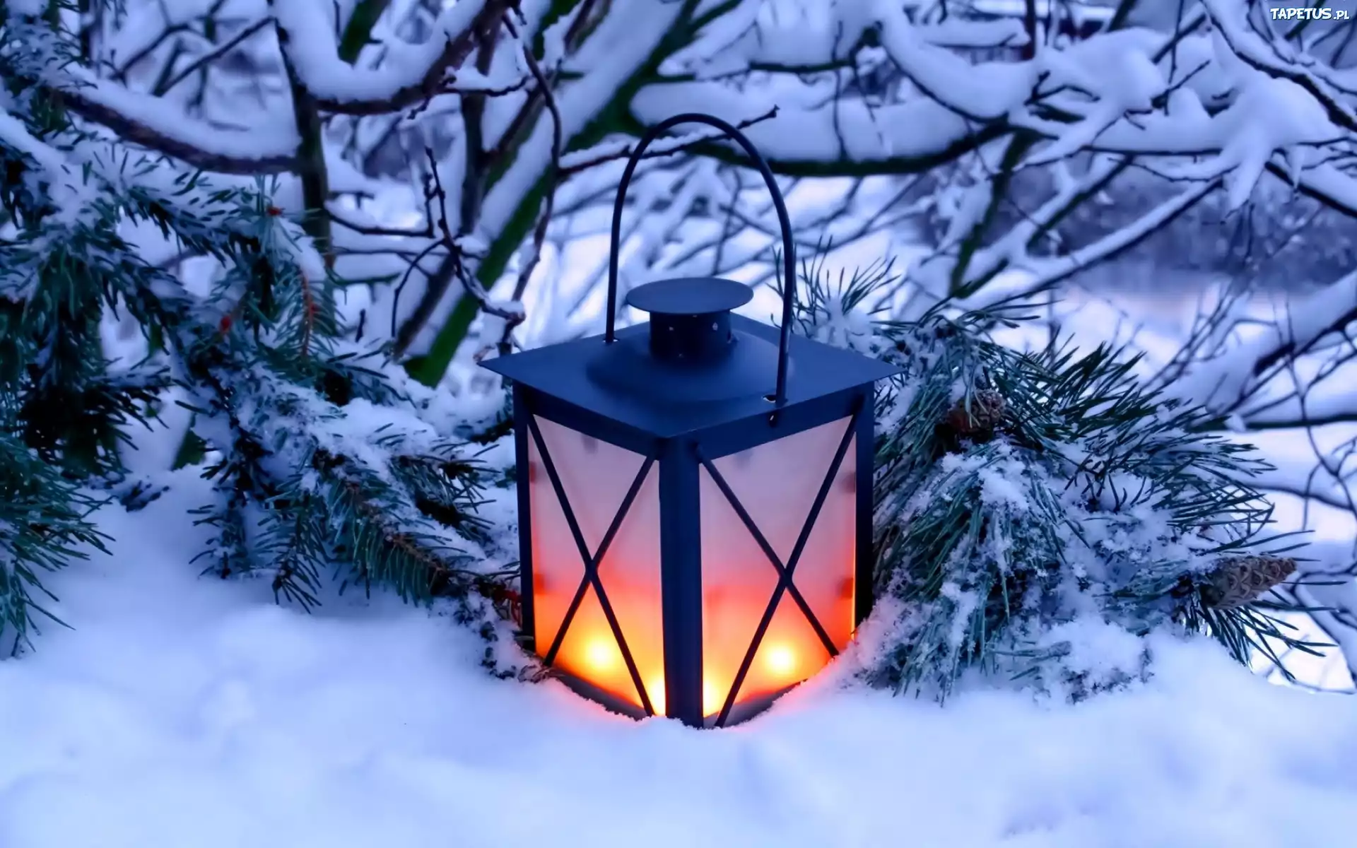 елка фонарики снег ночь загрузить