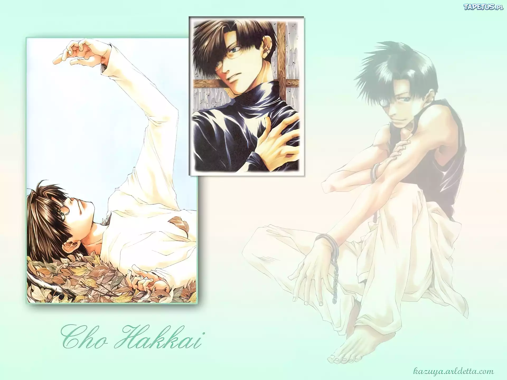Saiyuki, Cho Hakkai