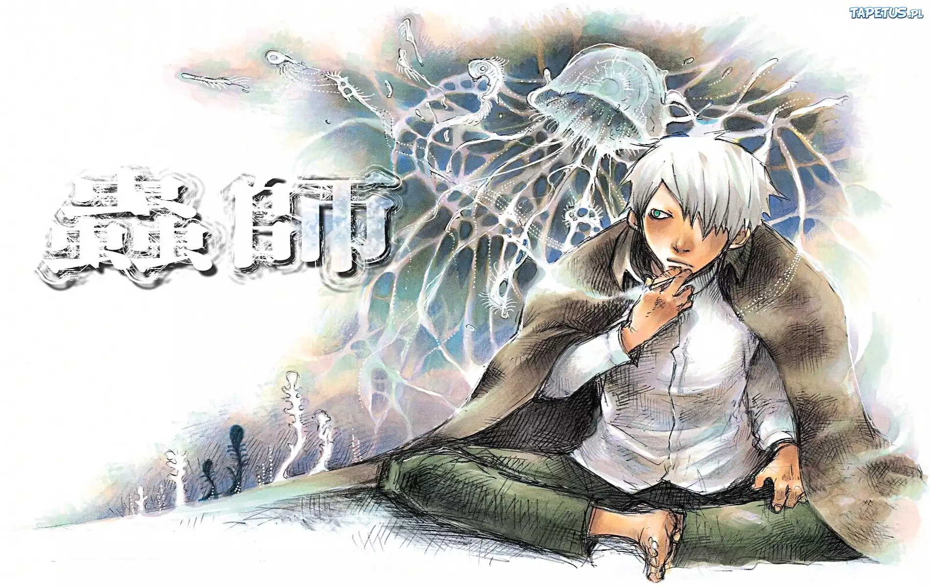 Mushi Shi, anime, chłopak, kanji, napis