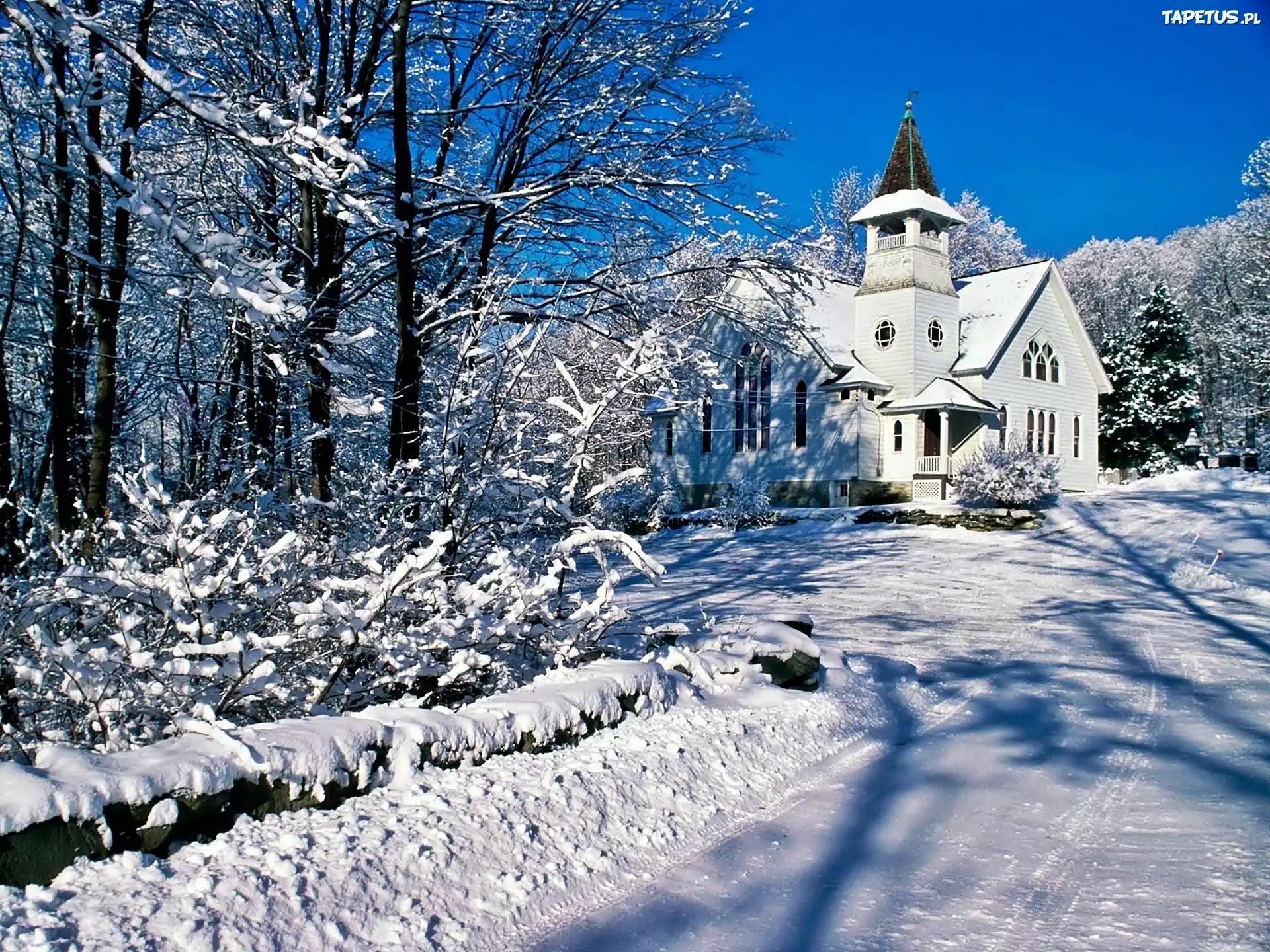 Самые Красивые Фото Зимы