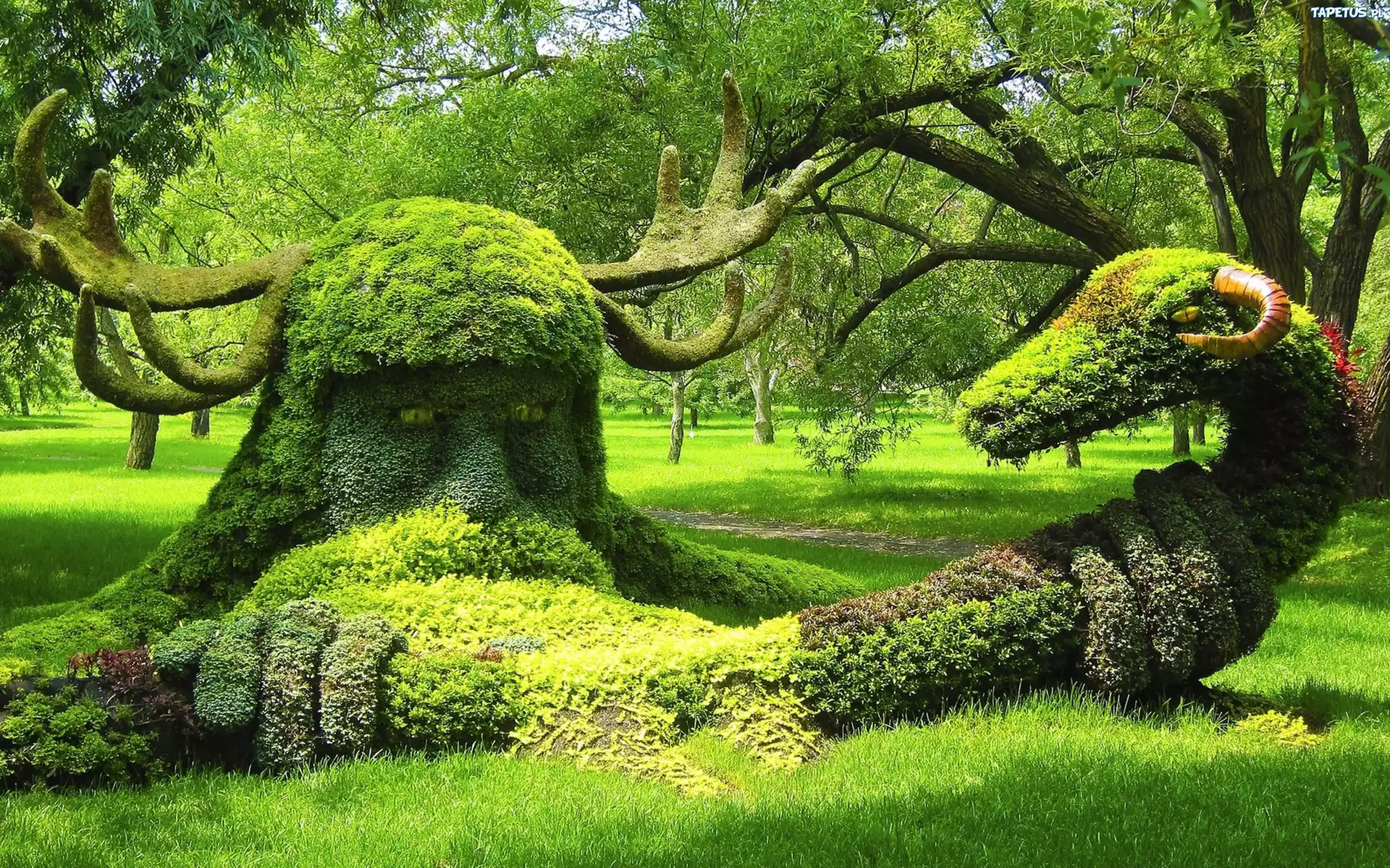 Park